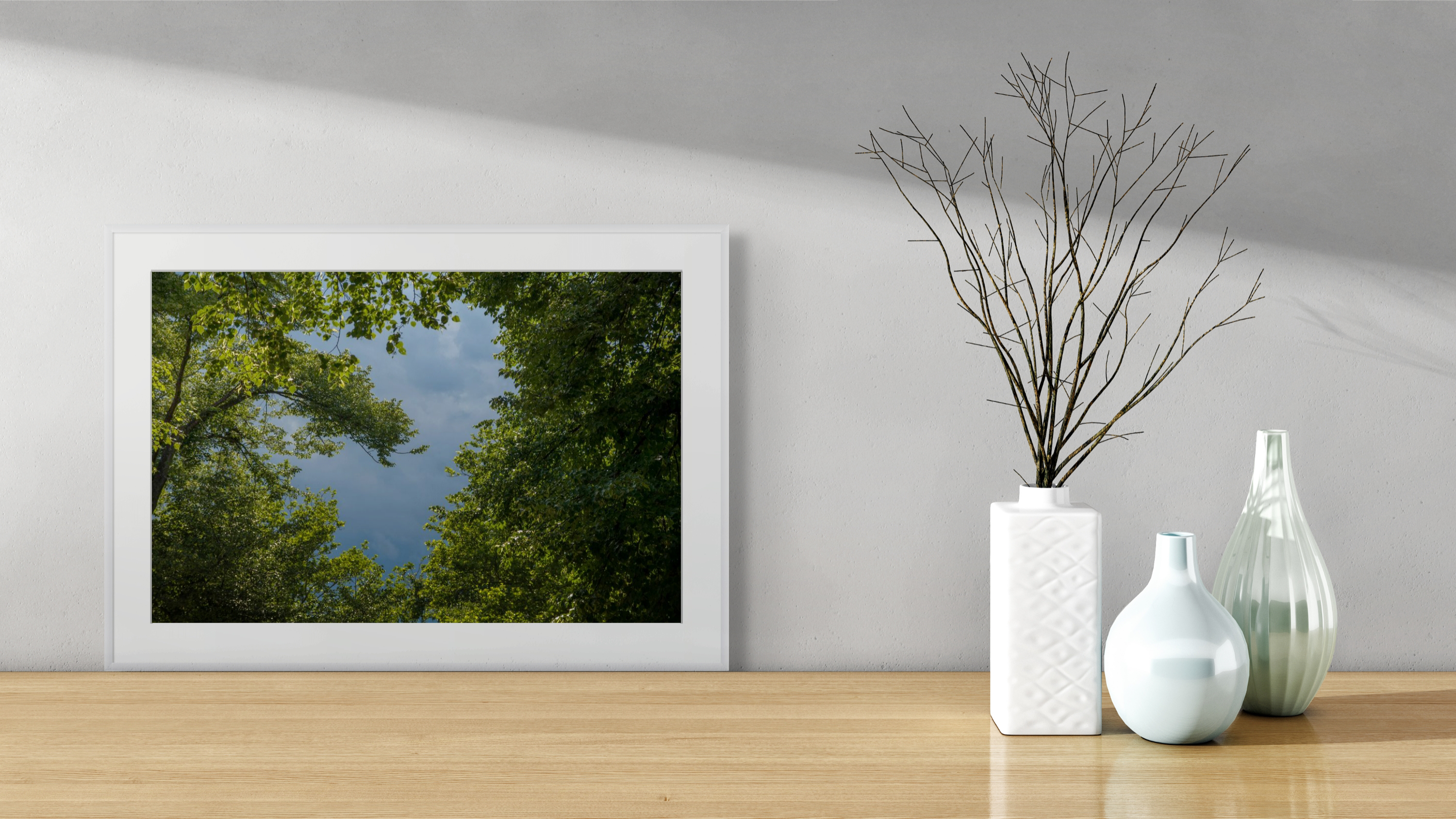 NN Better Writing.    Tree Heart, Central Park Photograph