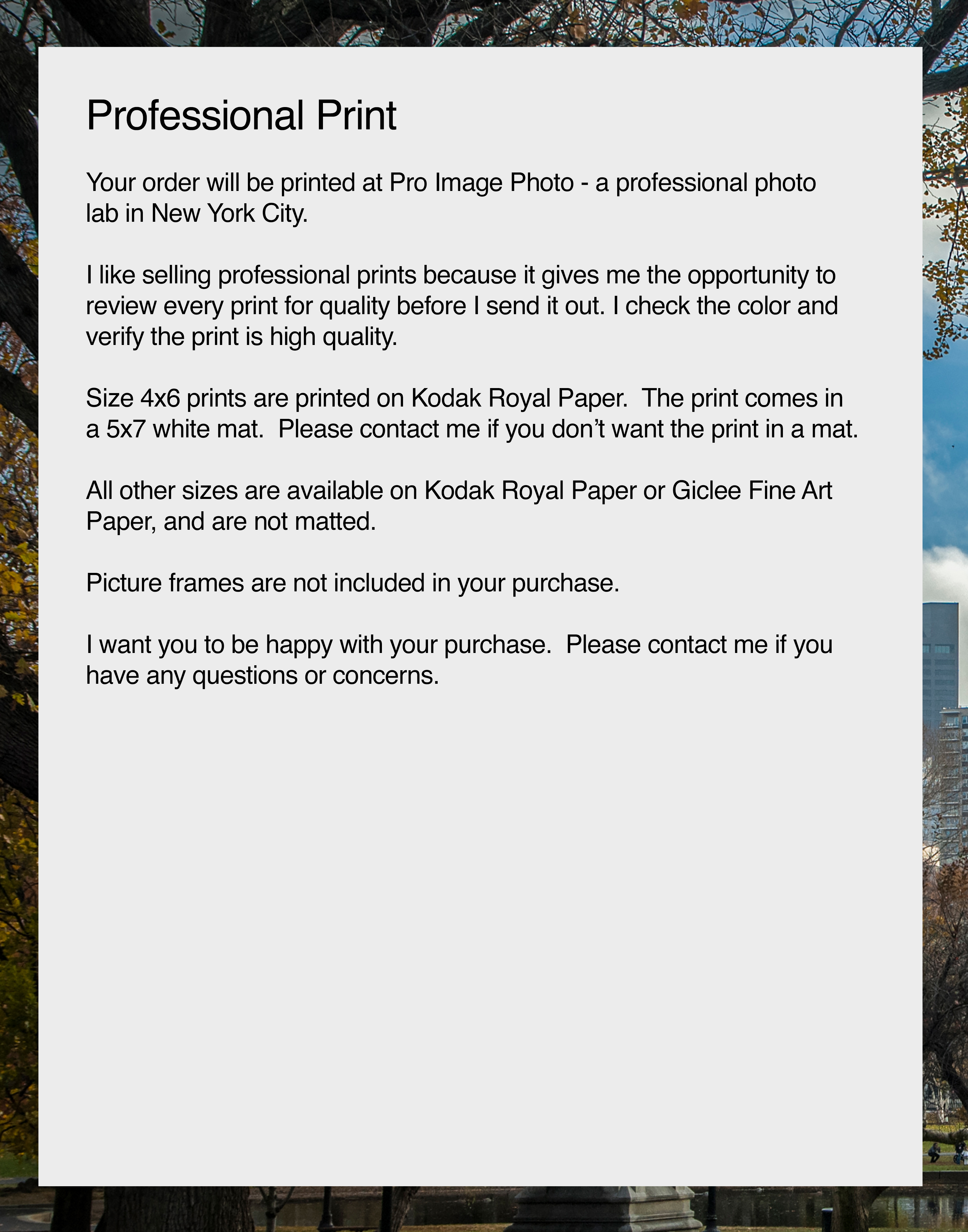 NN better writing.      Autumn Healing, Boston Photograph