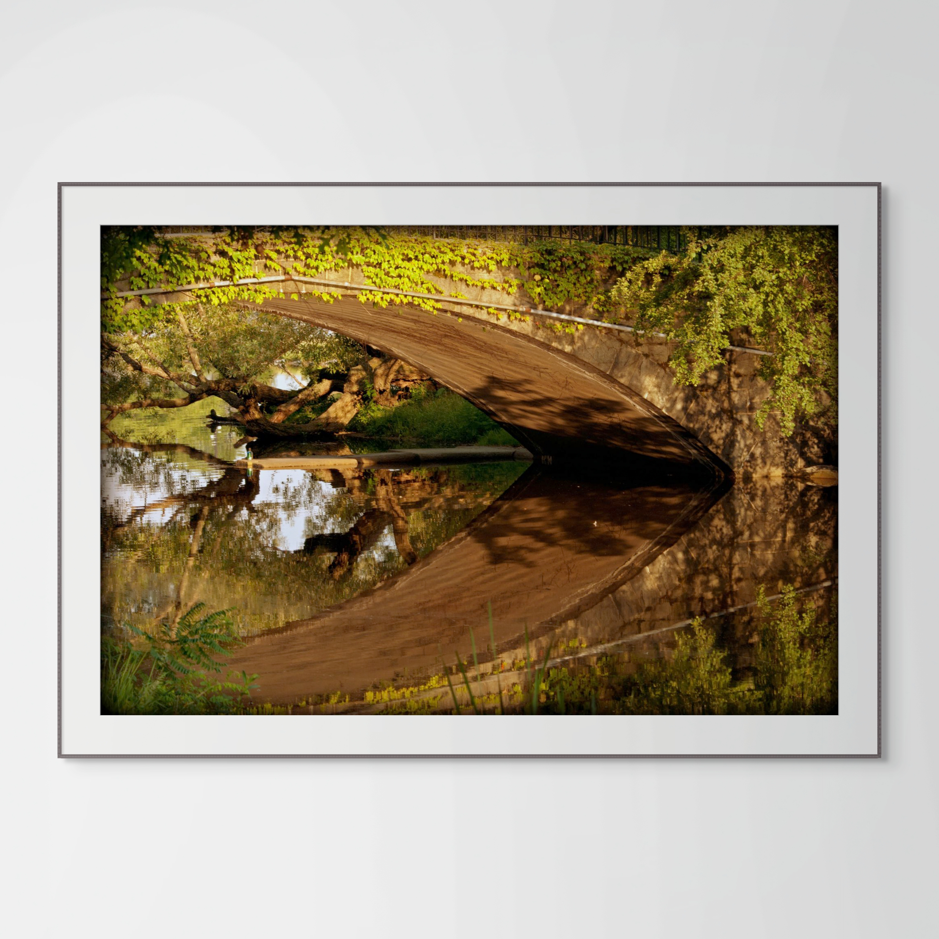 NN better writing.      Upon Reflection, Water Reflection Photograph