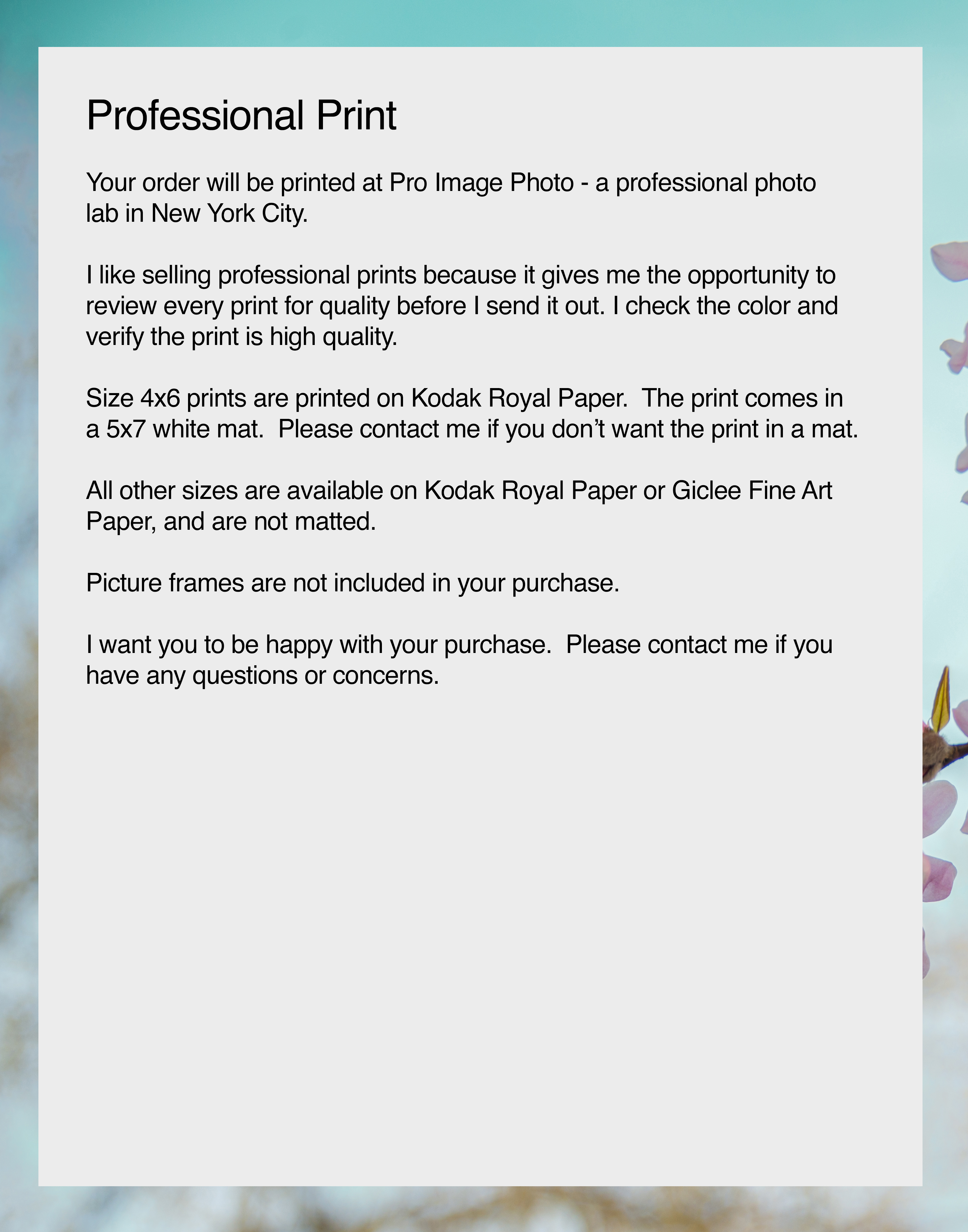 NN better writing, Spring Beginnings, Flower Photograph