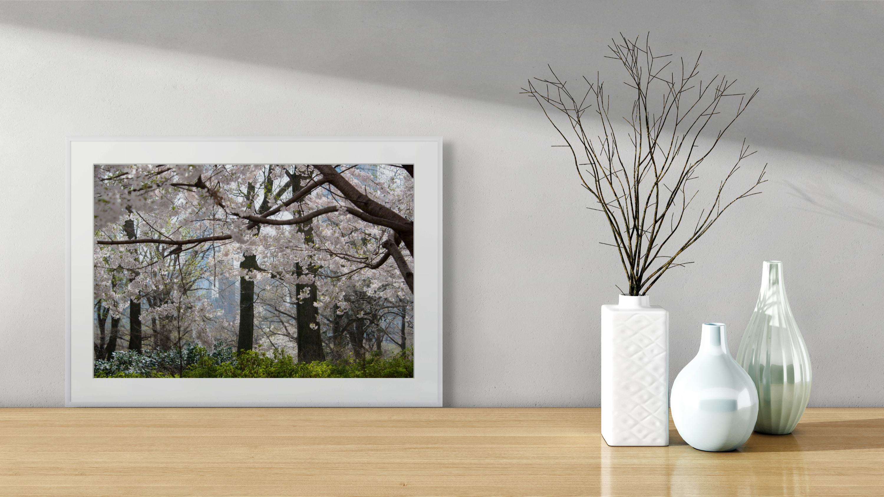 NN Better Writing.  Enchanted Forest, Central Park Photograph