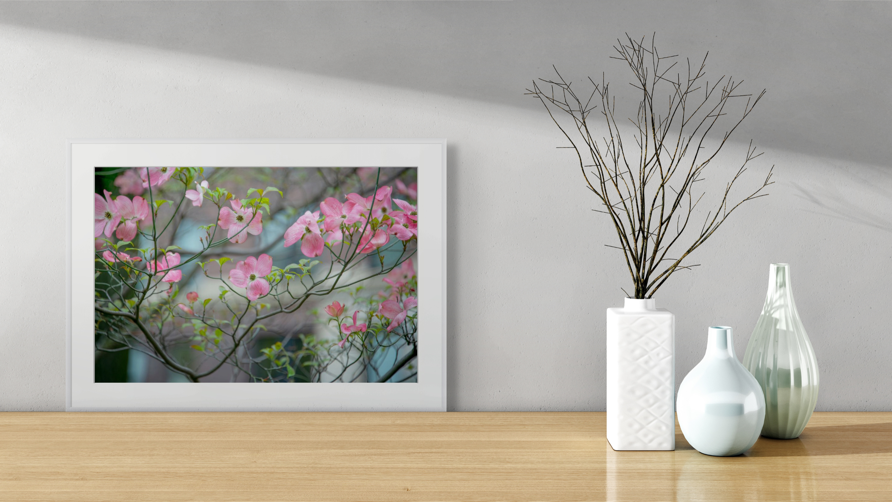 NN Better writing. Dogwoods of Central Park, Flower Photograph