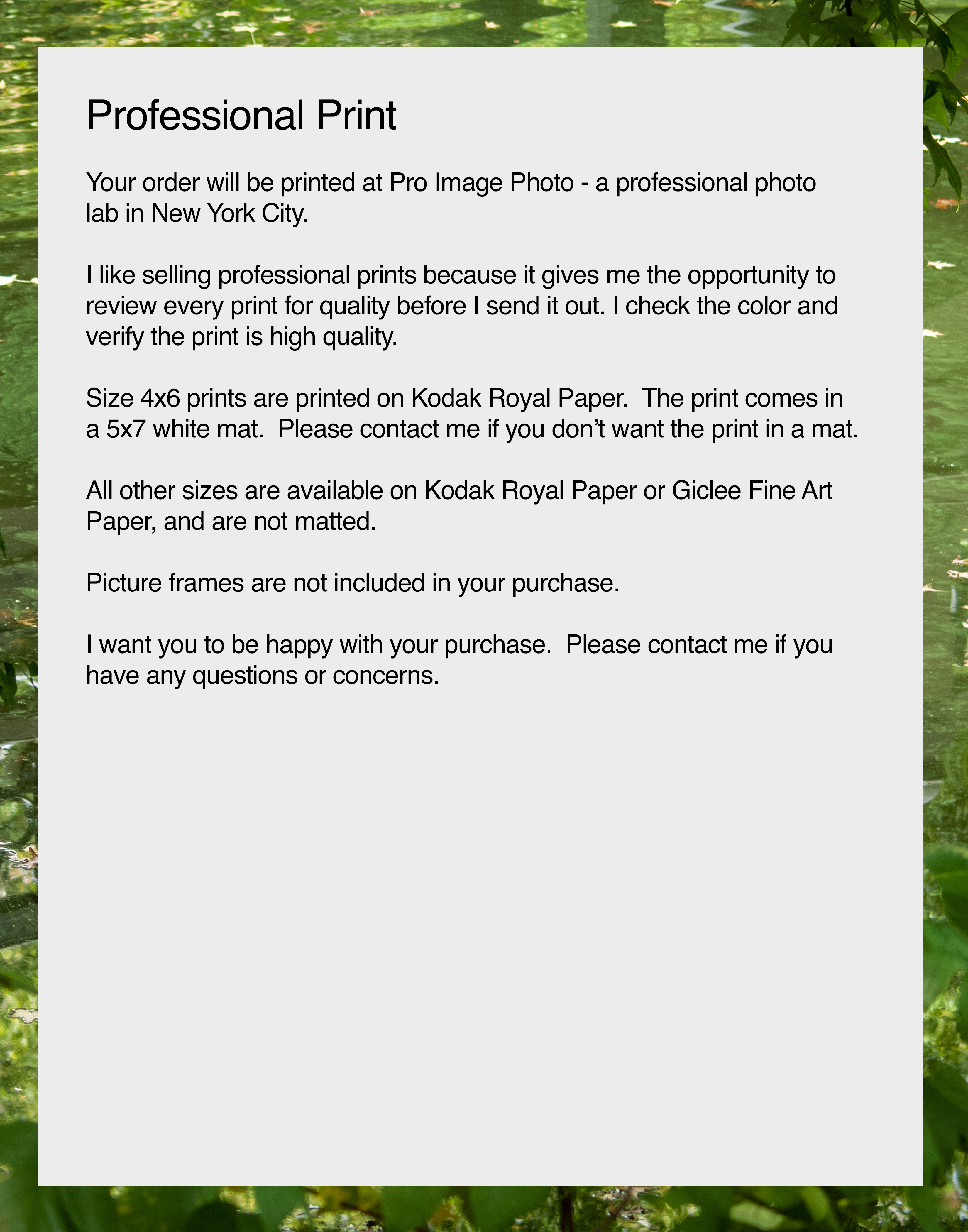 NN better writing  A Morning Walk, Central Park Bridge Photograph