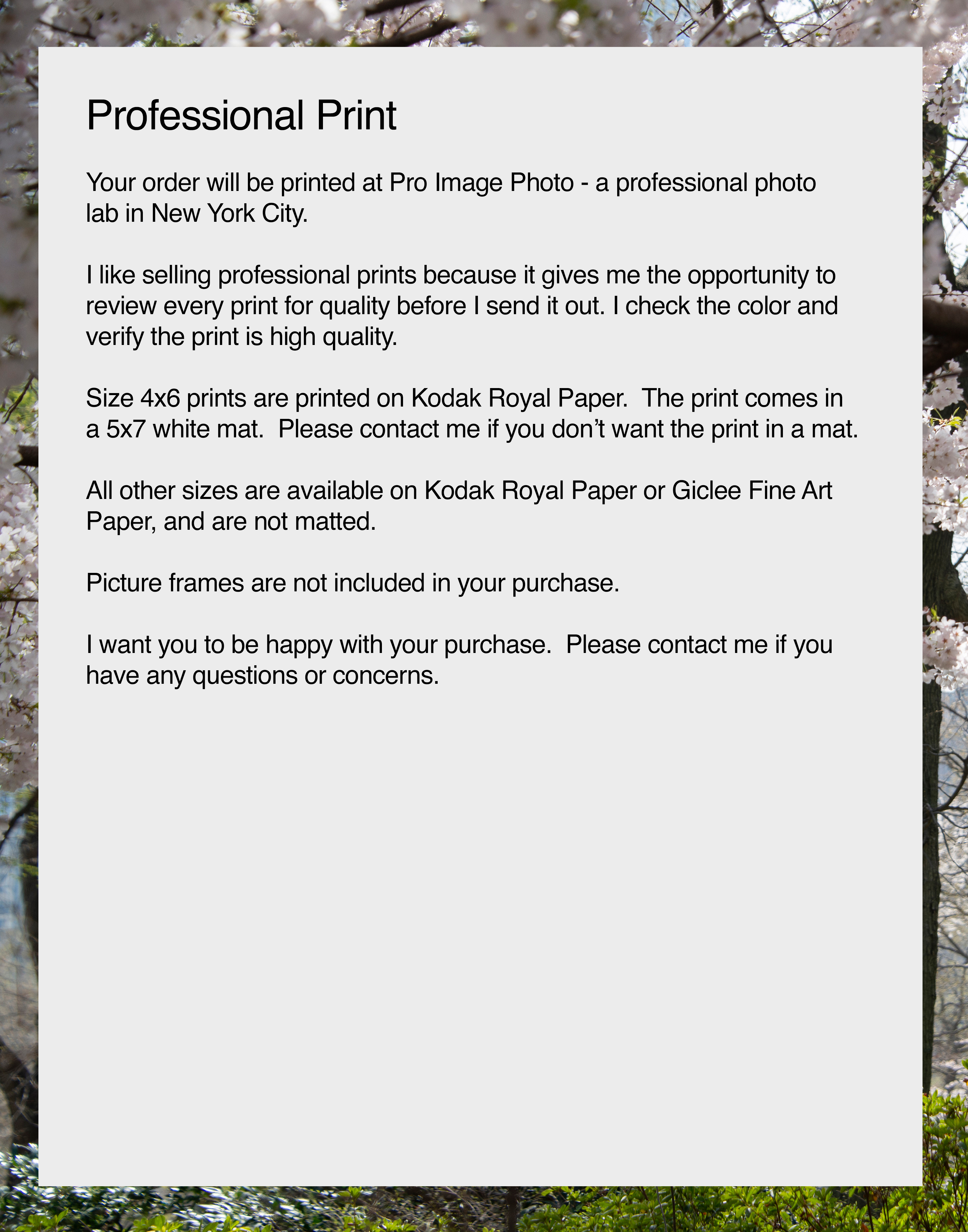 NN Better Writing.  Enchanted Forest, Central Park Photograph