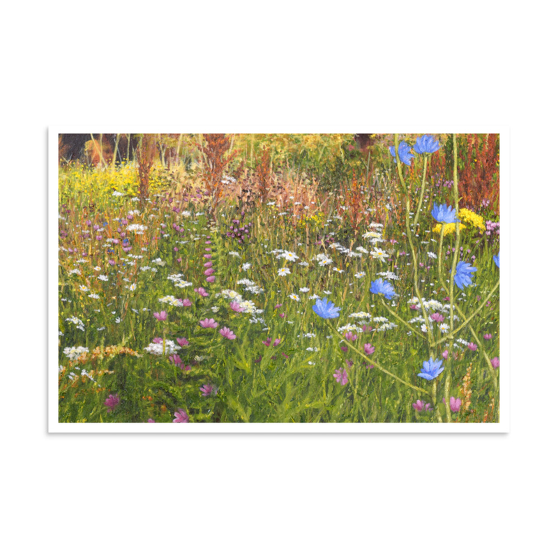 Kingsmead II, open edition print