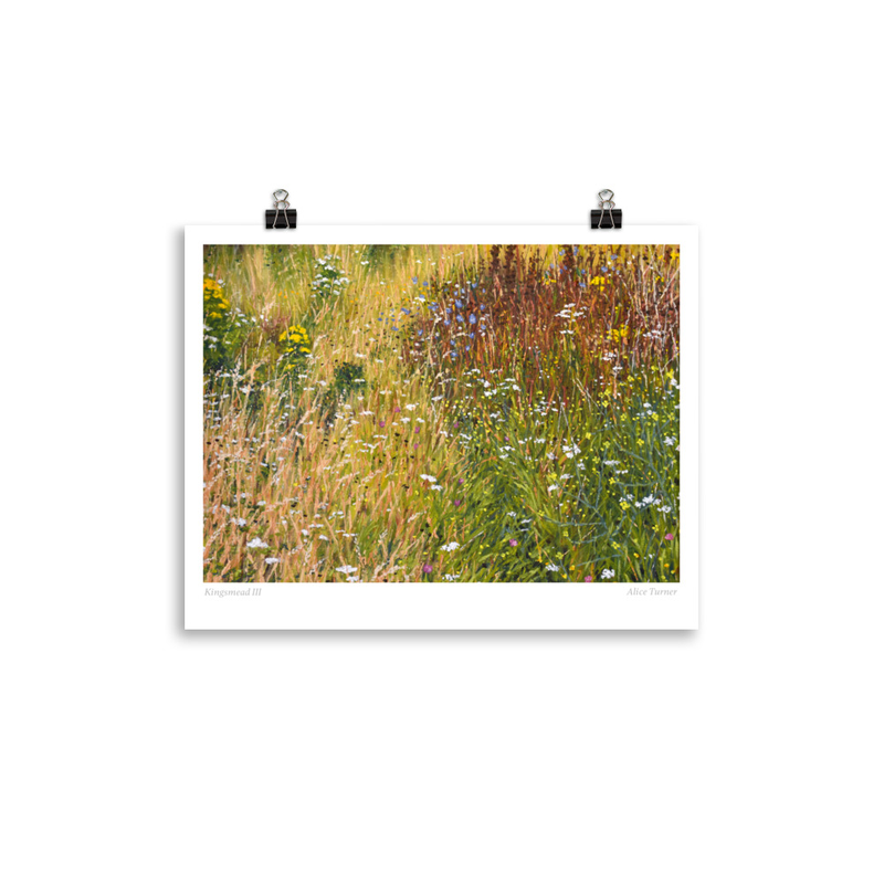 Kingsmead III, open edition print