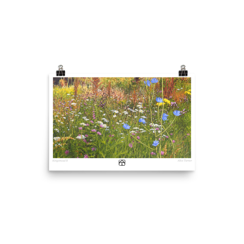 Kingsmead II, open edition print