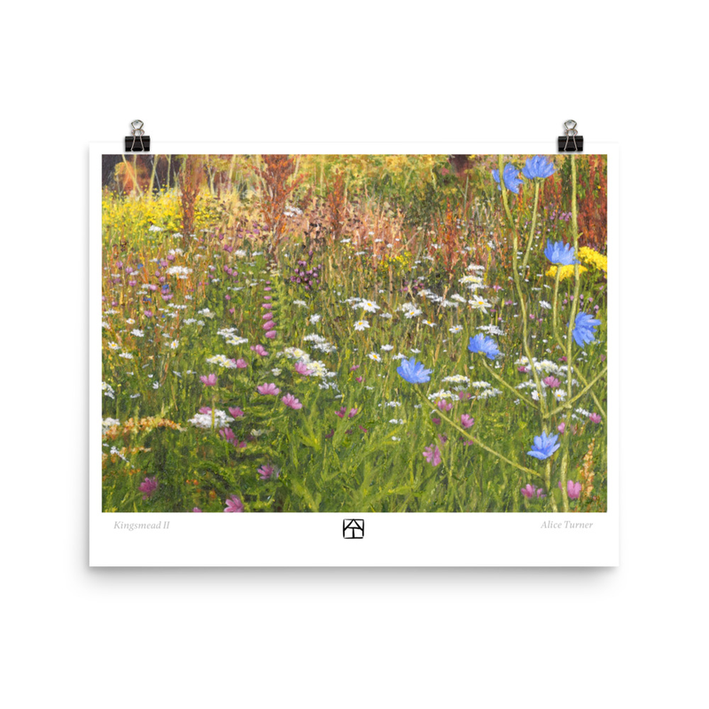 Kingsmead II, open edition print