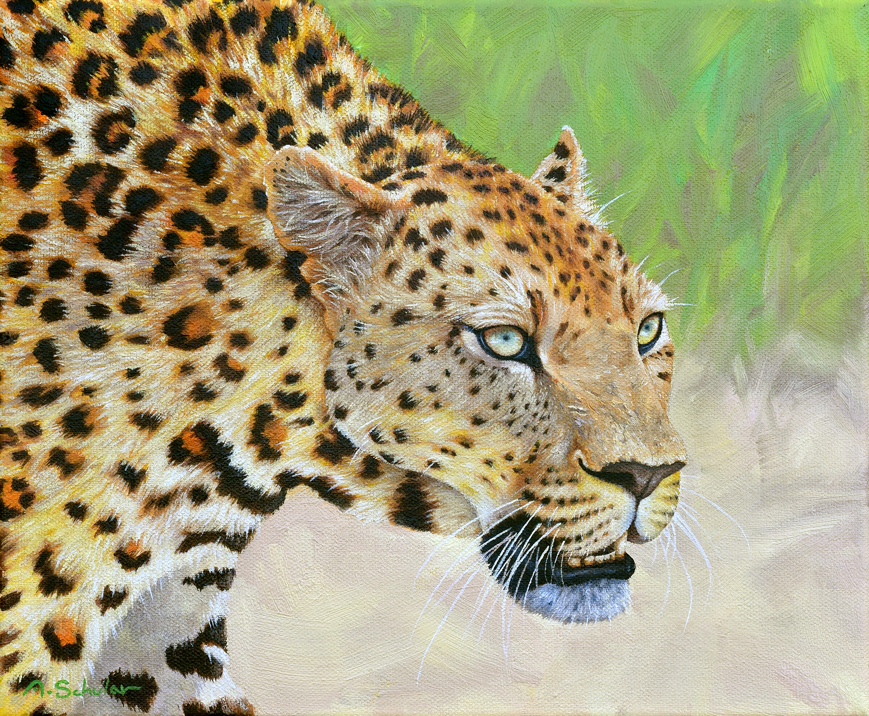 "The Look" (African Leopard)