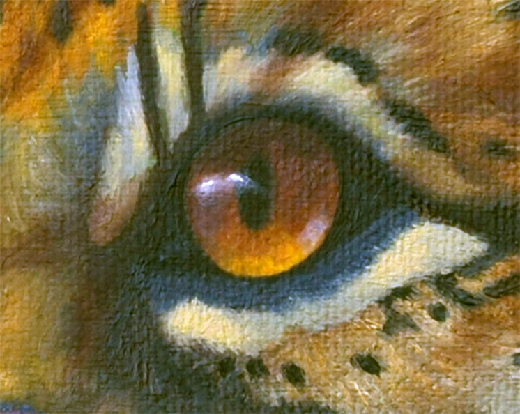After the Rain (Ocelot)