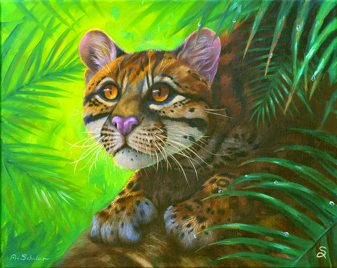 After the Rain (Ocelot)