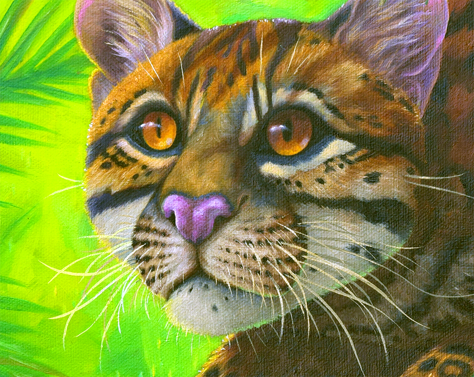 After the Rain (Ocelot)