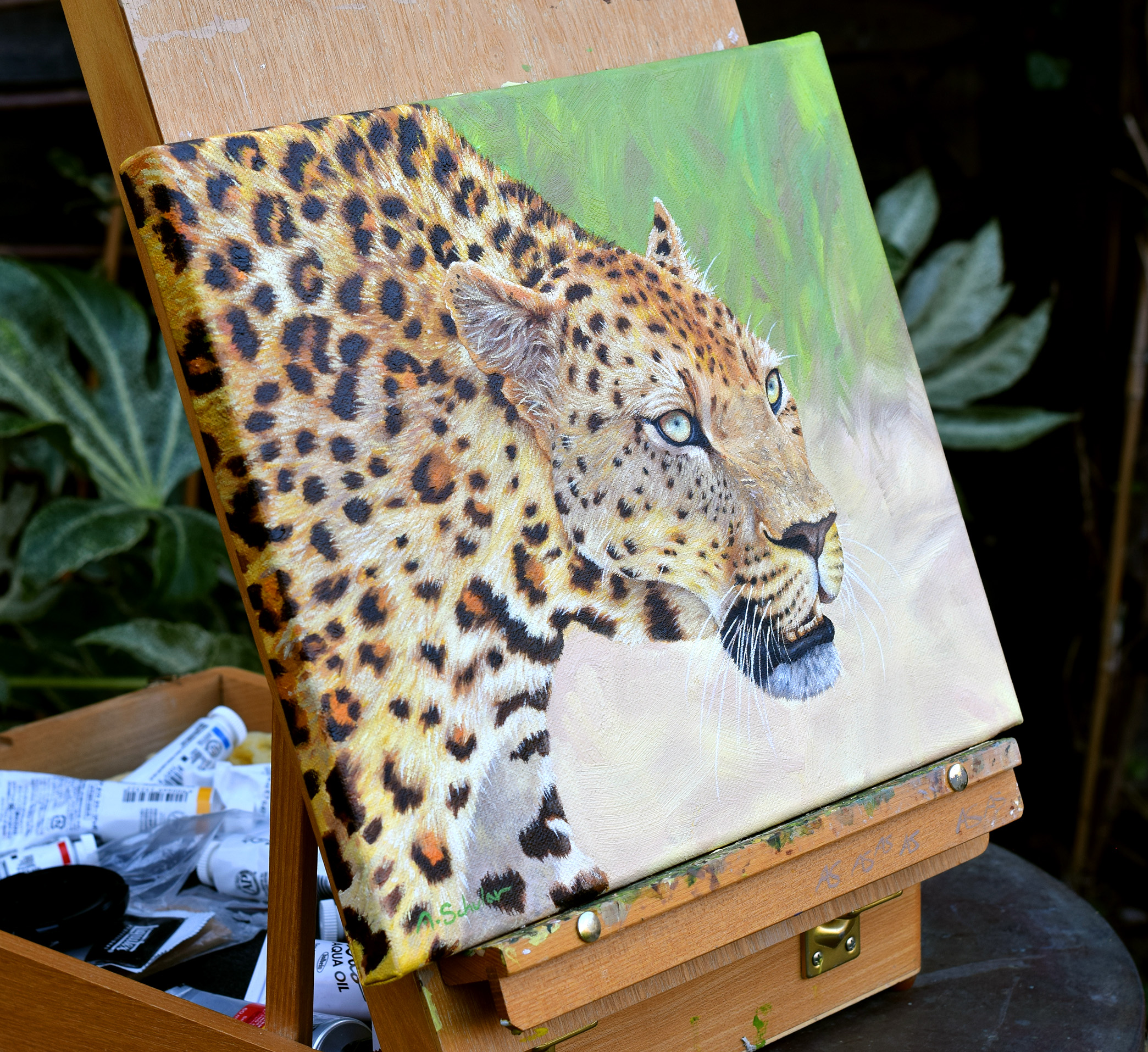 "The Look" (African Leopard)