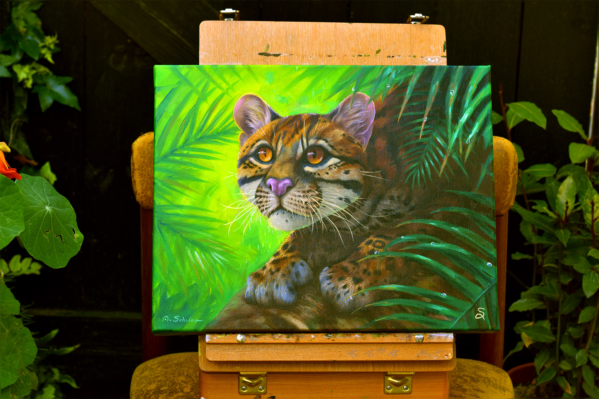After the Rain (Ocelot)