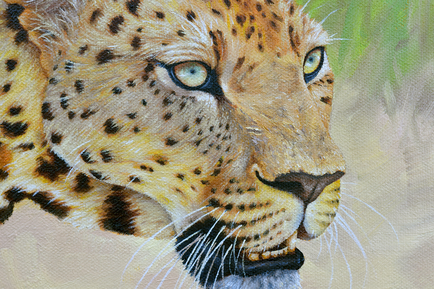 "The Look" (African Leopard)