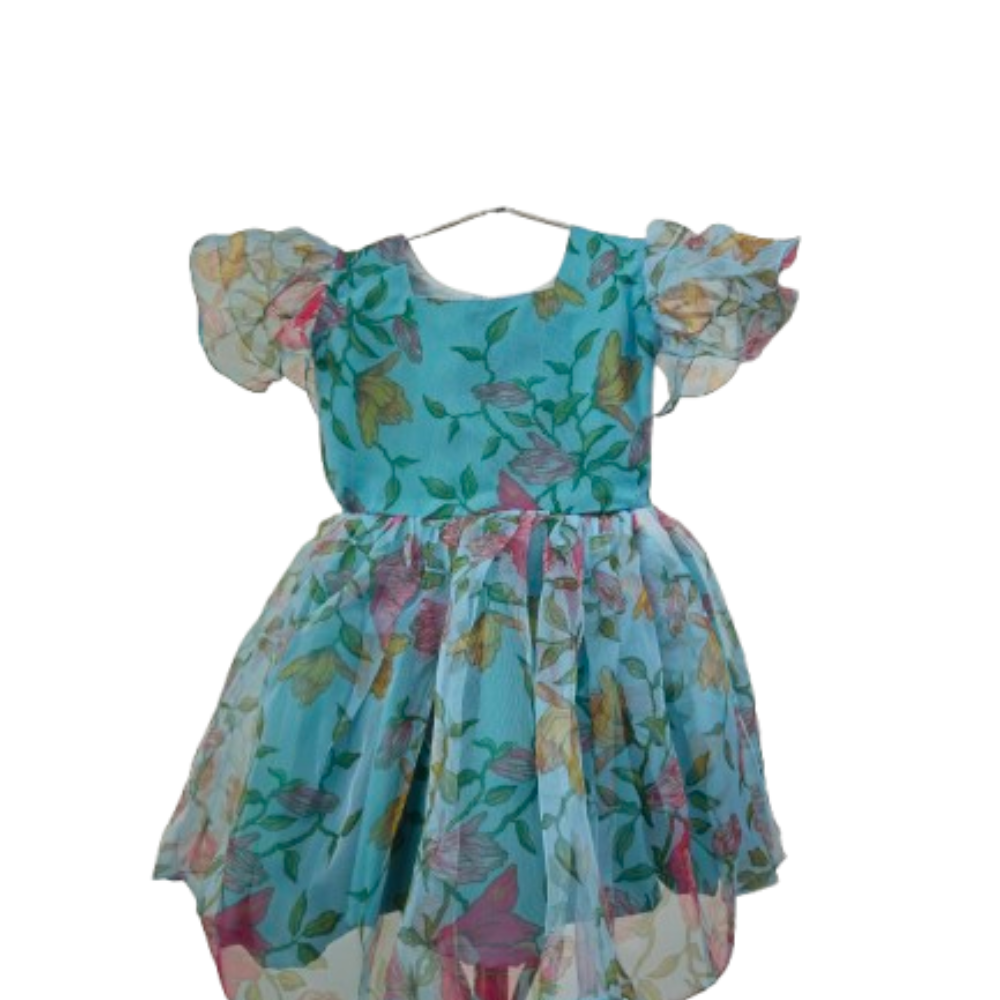 Floral Ruffle Sleeve Toddler Dress