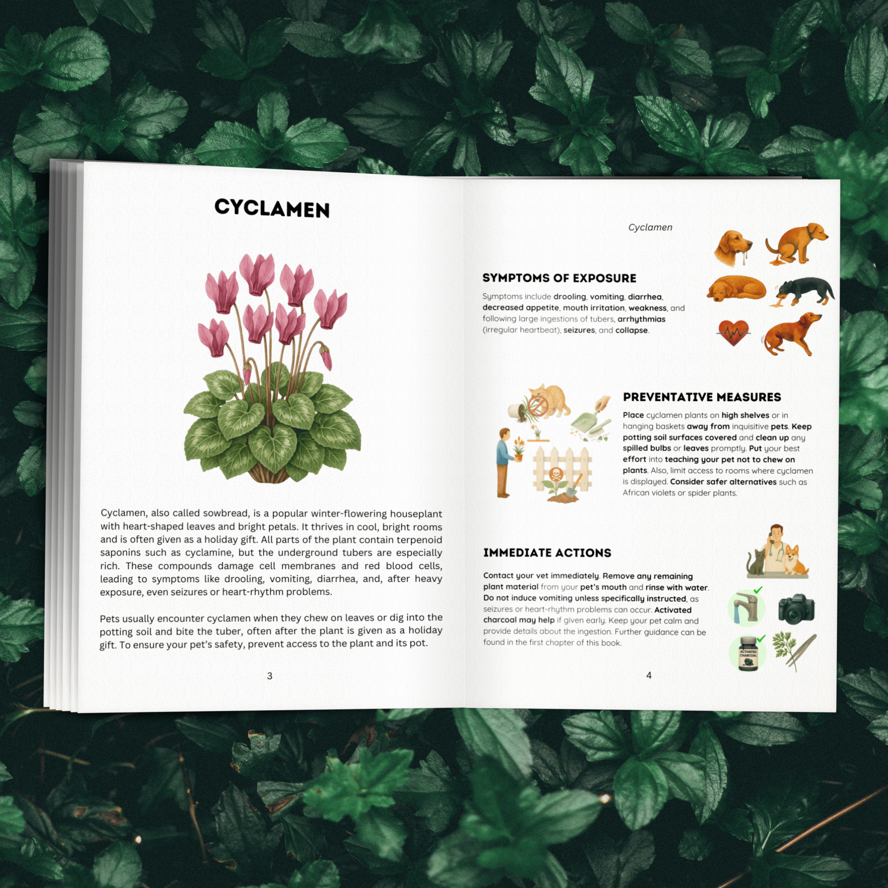 12 Extra Poisonous Plants, Bonus Guide