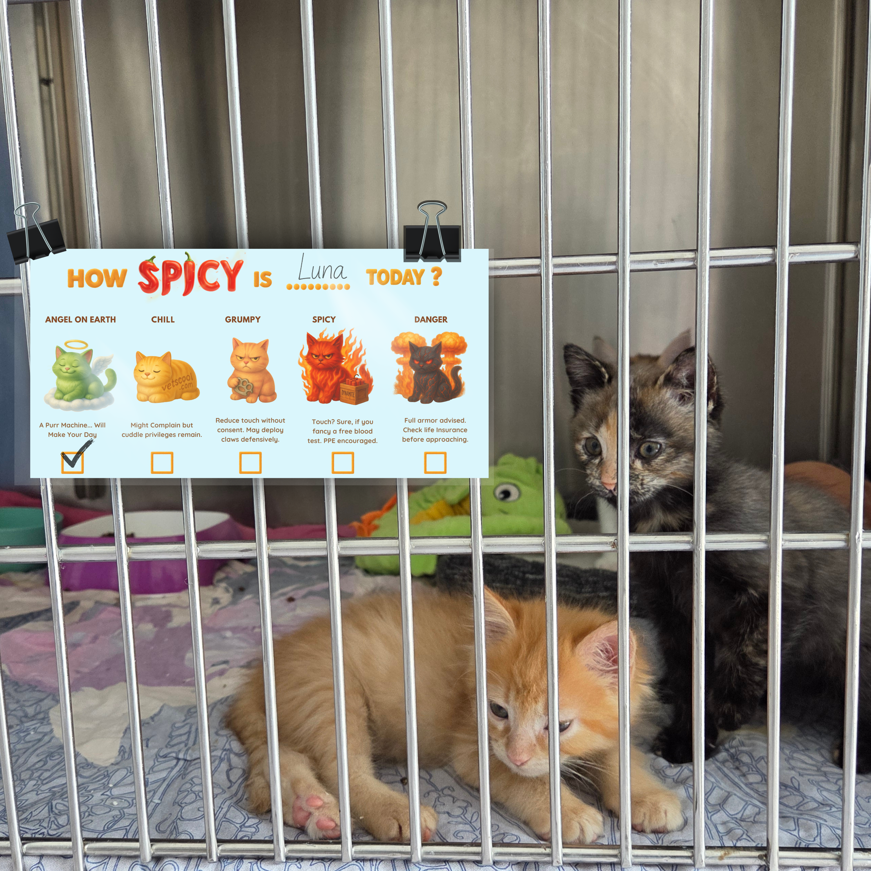 Printable Temperament Cage Cards