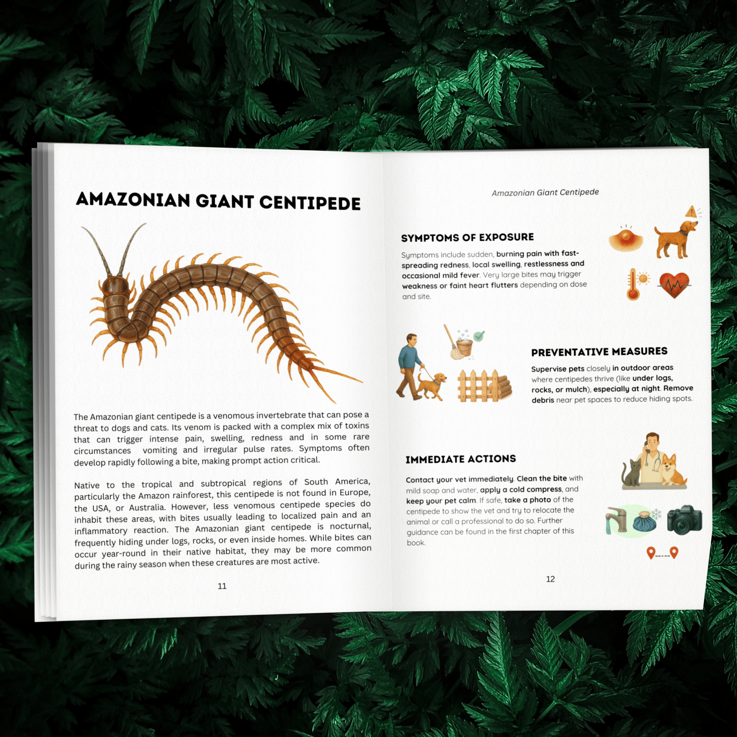 7 Extra Poisonous Animals, Bonus Guide