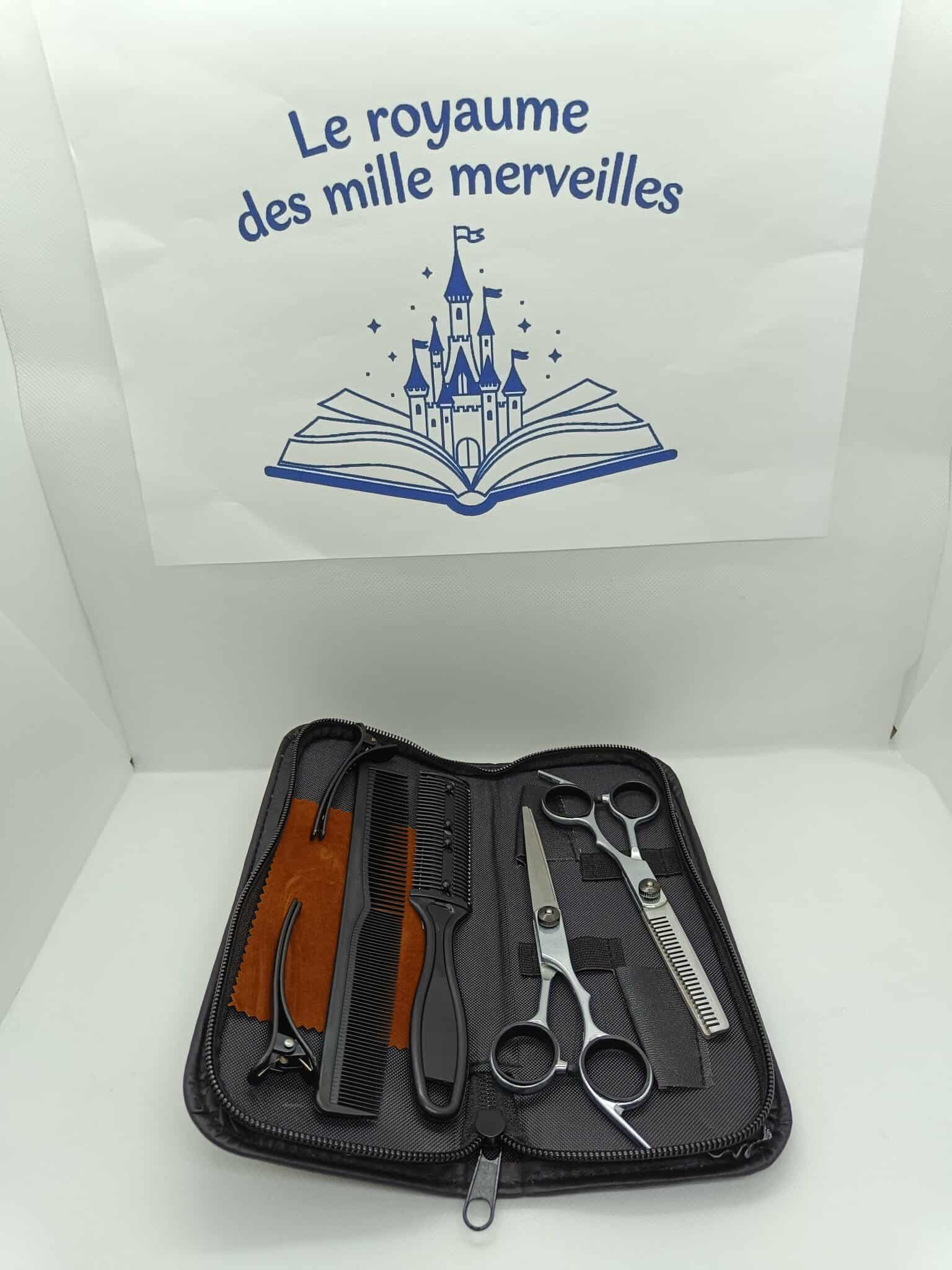 Pack coiffure professionnel: sèche cheveux+kit ciseaux+brosse ronde