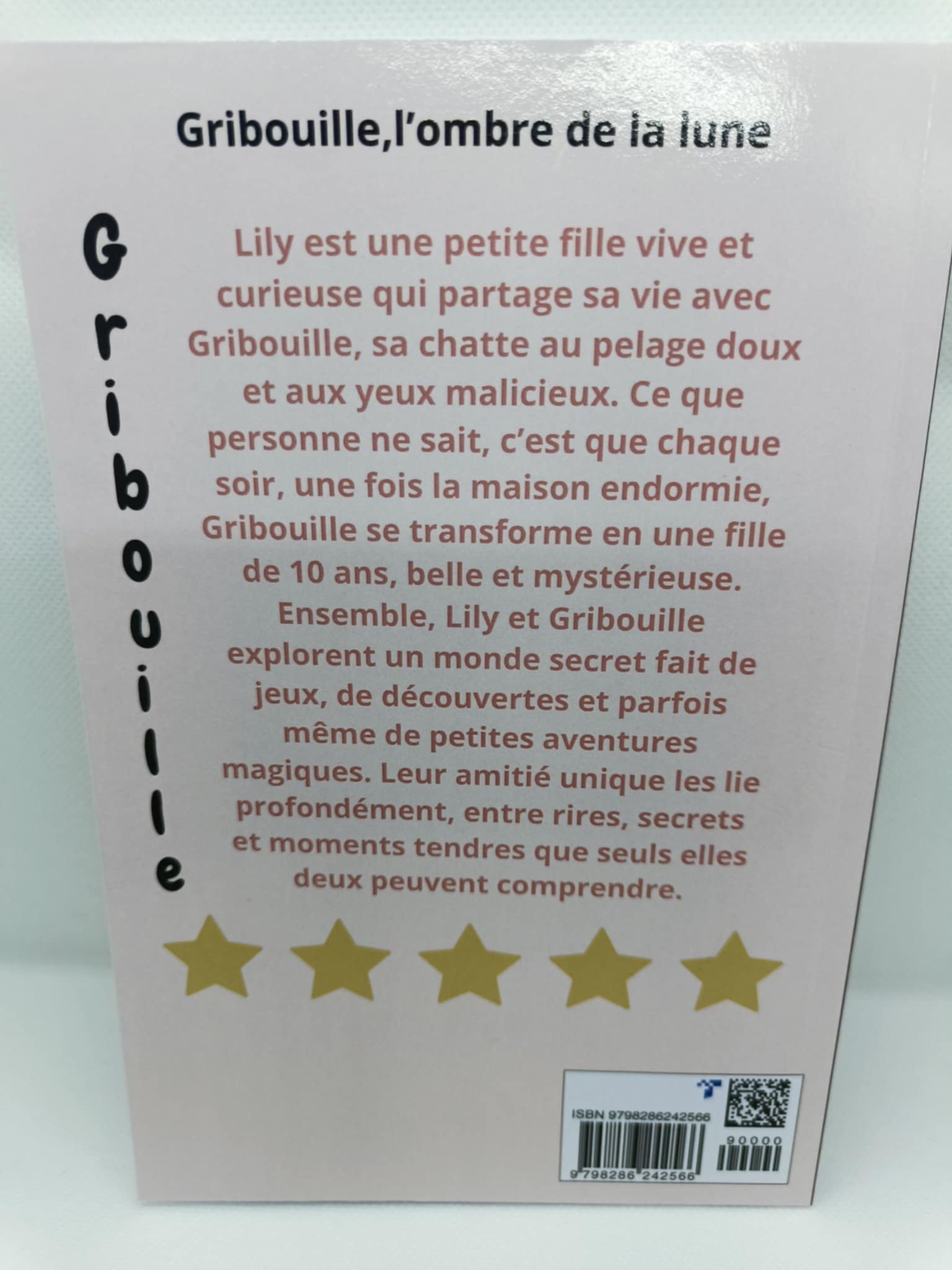 Gribouille, l'ombre de la lune