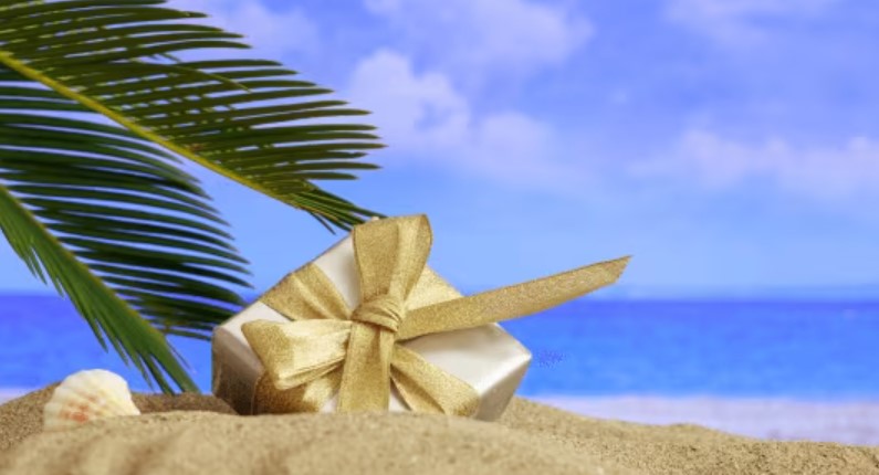 Location pour 1 semaine (7 nuitées) pendant les fêtes de Noël