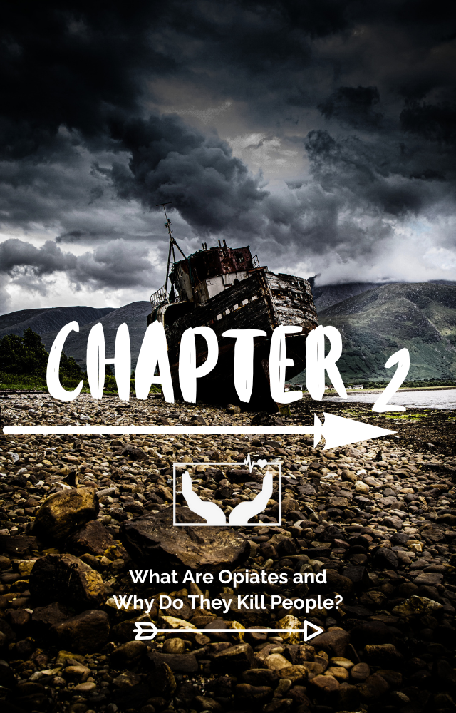 The Opiate Odyssey