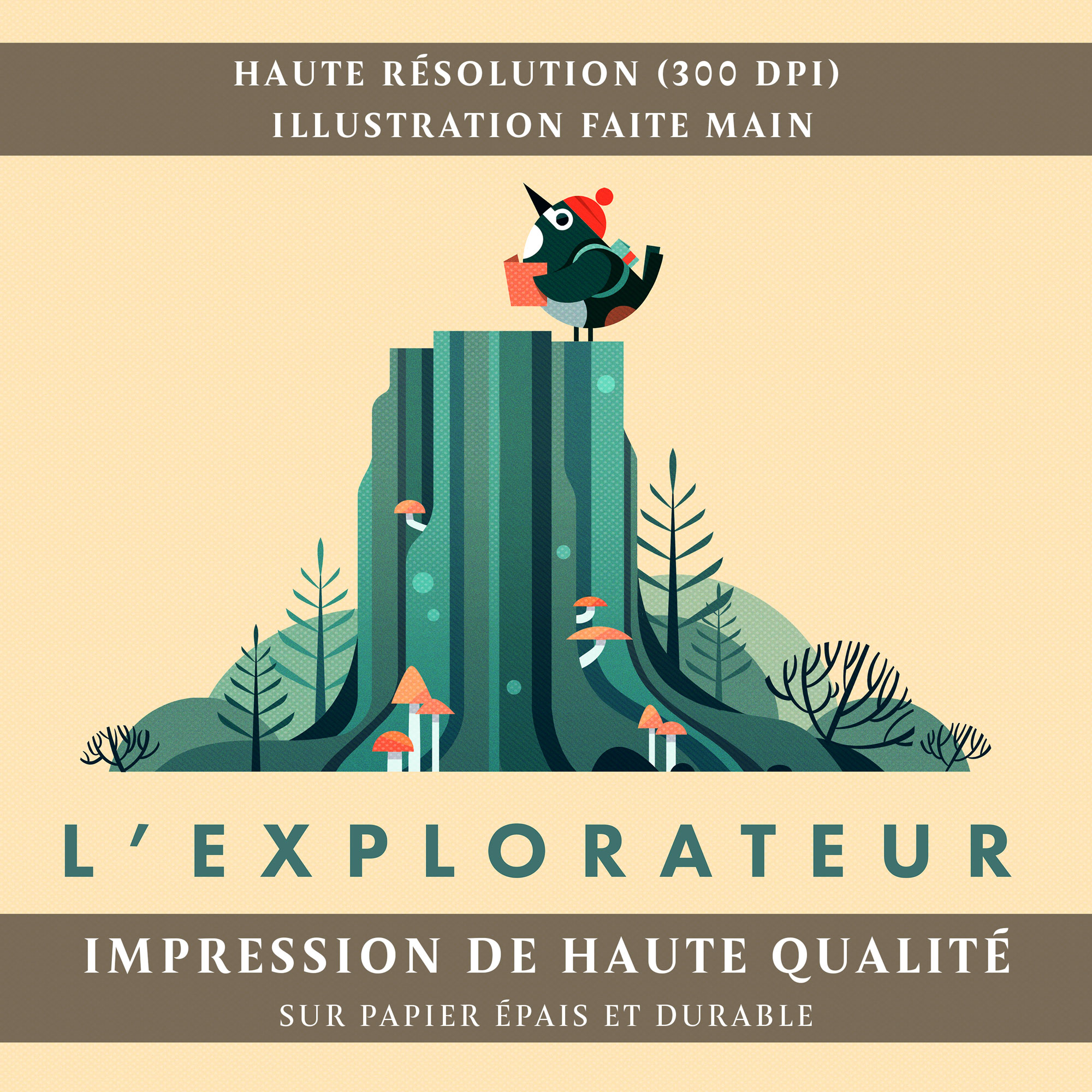 L'oiseau explorateur (A4, A3 ou A2)