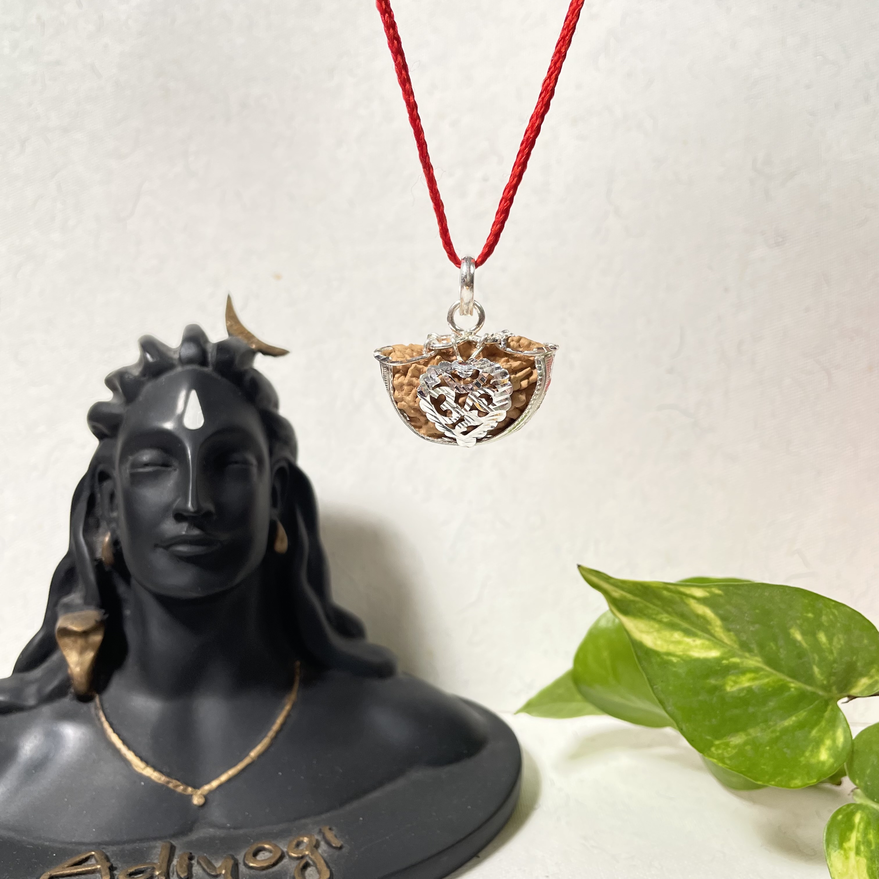 1 Mukhi Indian Kaju Rudraksha with Silver Case