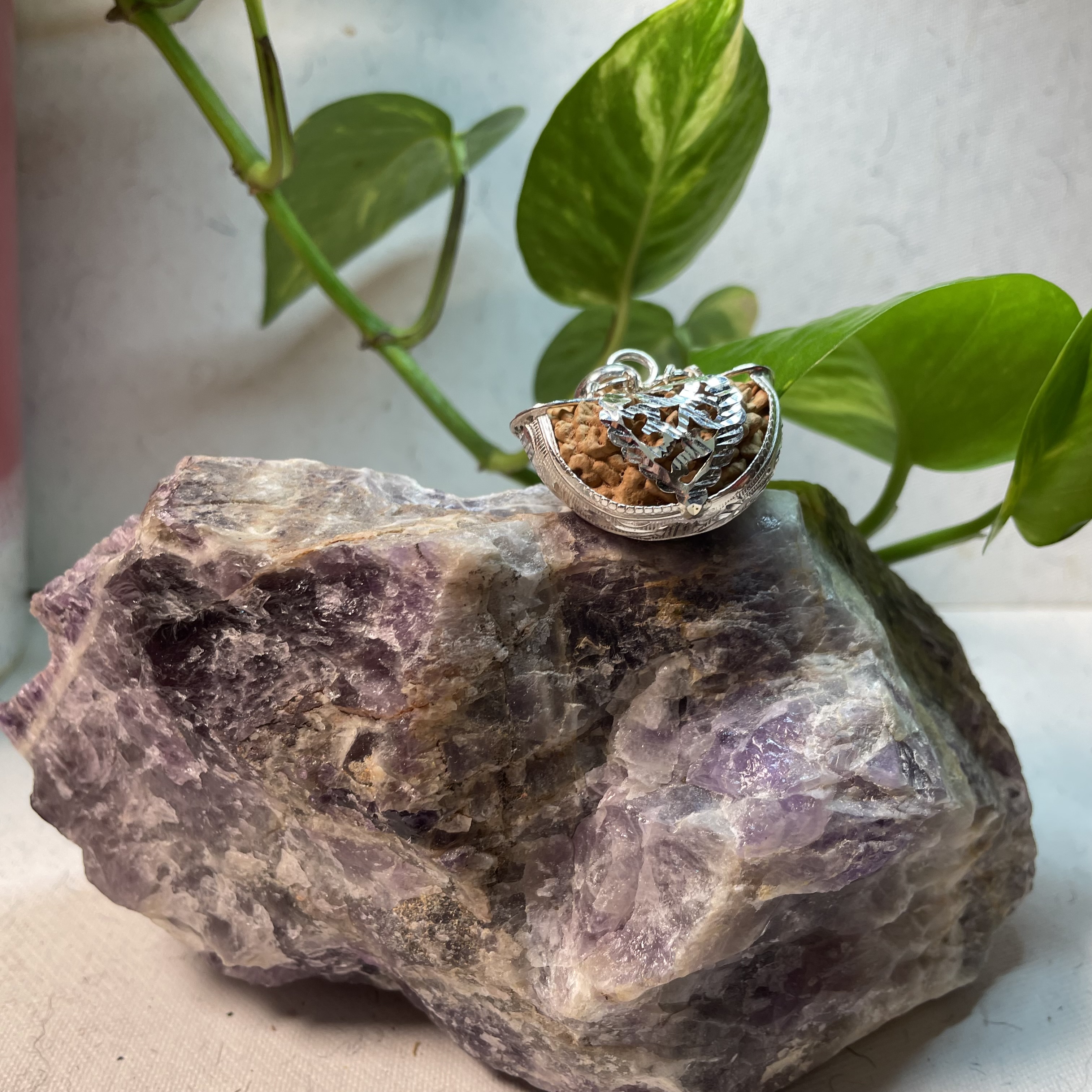 1 Mukhi Indian Kaju Rudraksha with Pure Silver Cap
