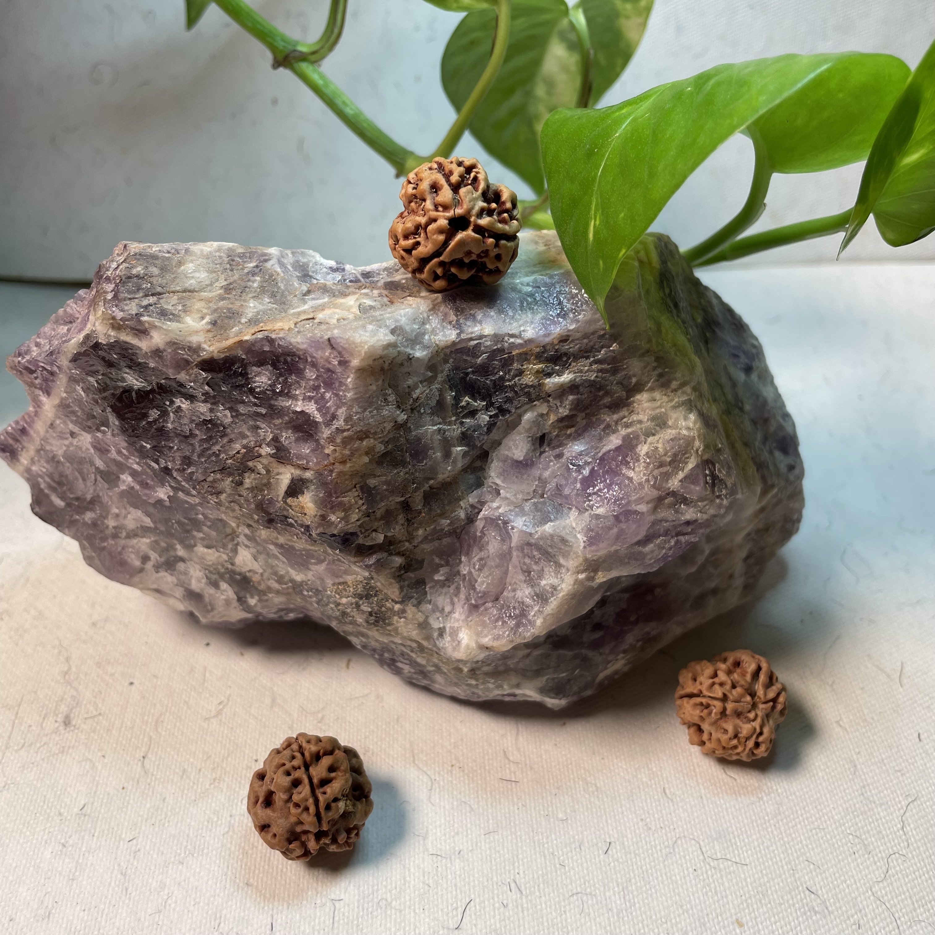 3 Mukhi Round Nepali Rudraksha 