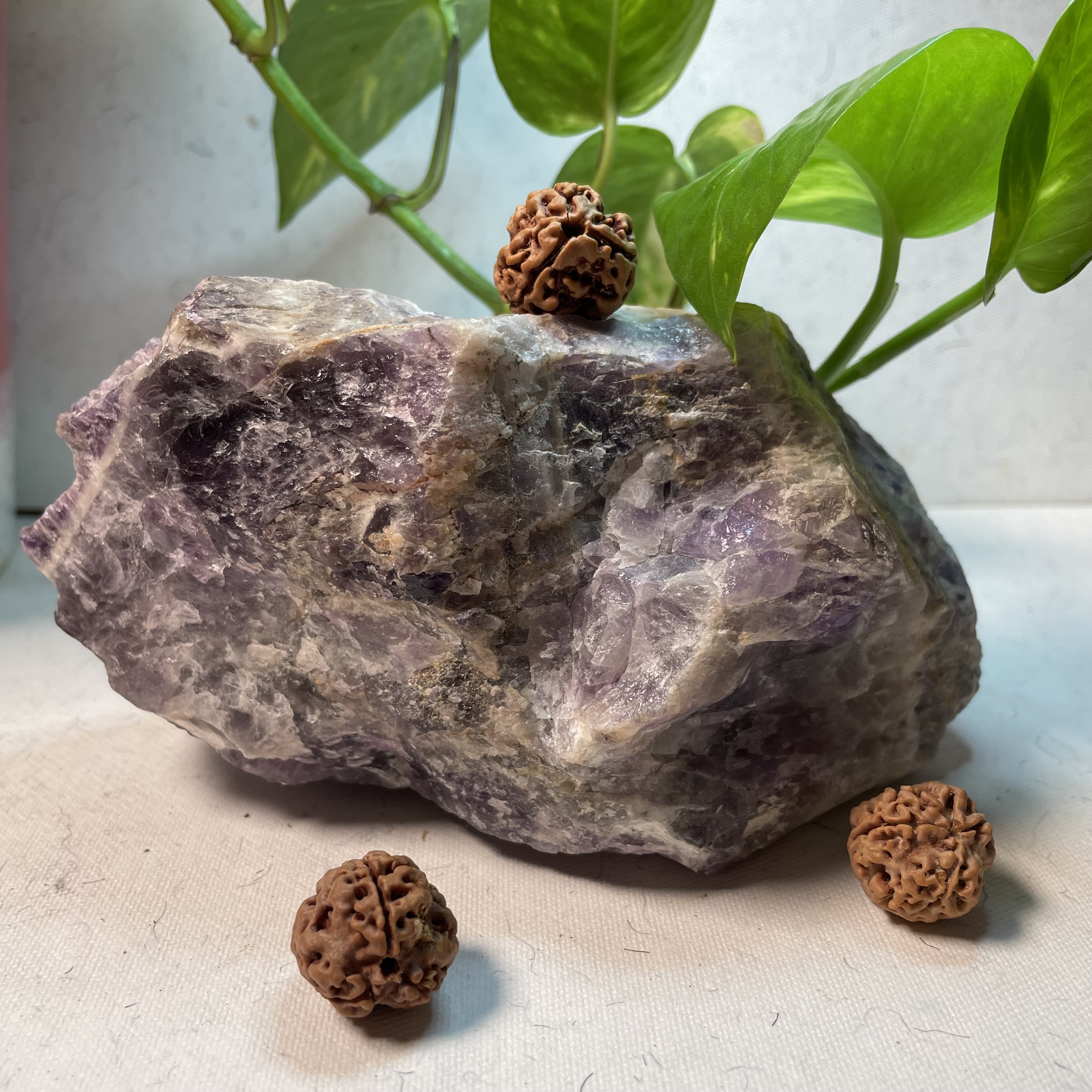 3 Mukhi Round Nepali Rudraksha 