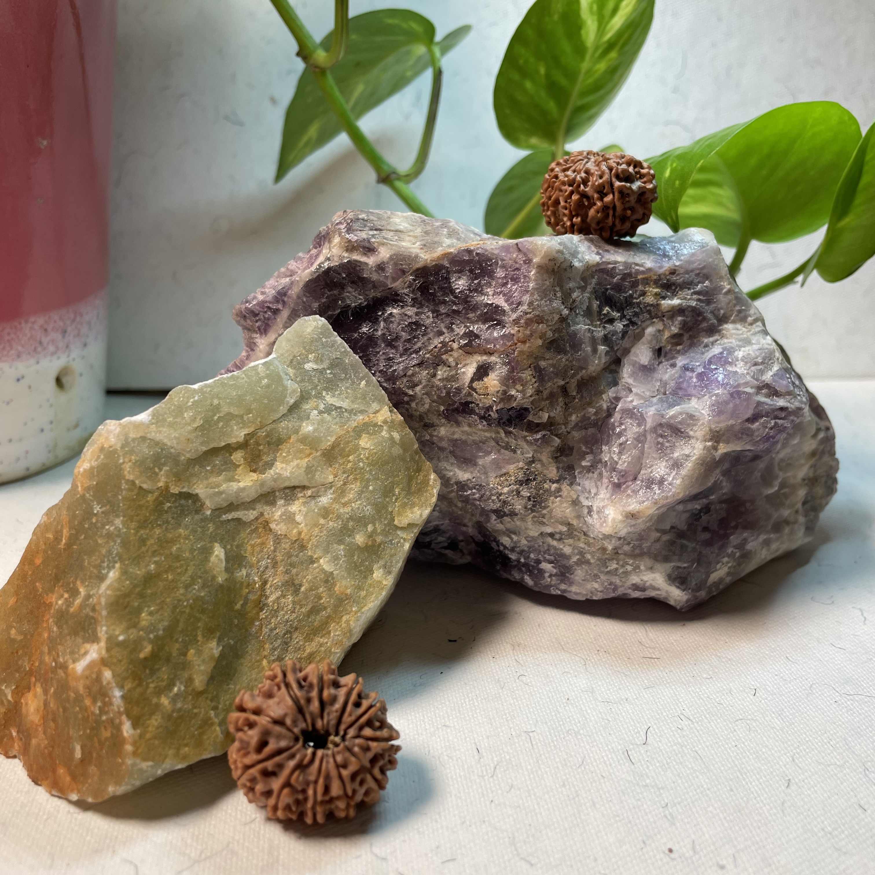 11 Mukhi Nepali Rudraksha