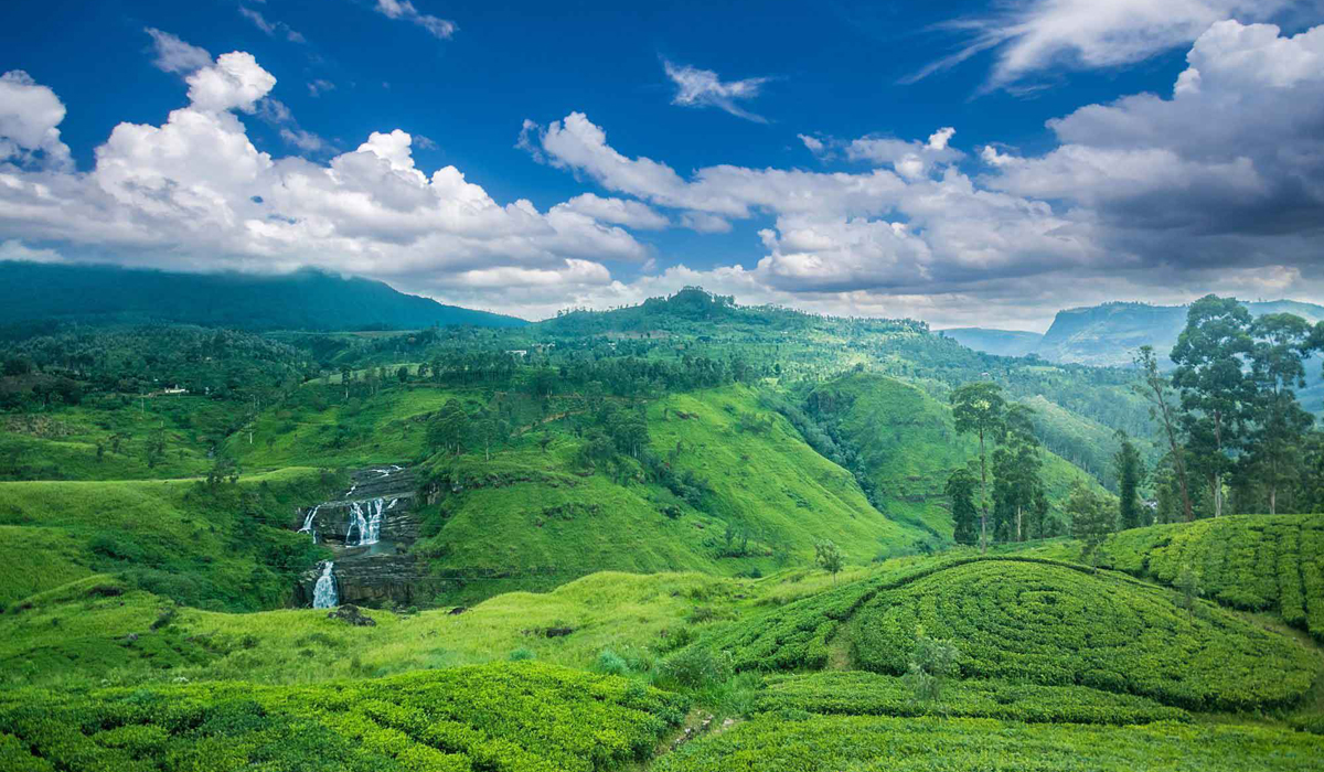 Most Popular Sri Lanka Tour Itinerary - 7Days