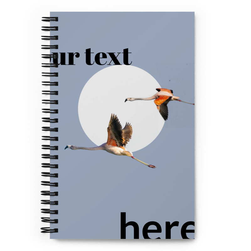 Spiral notebook