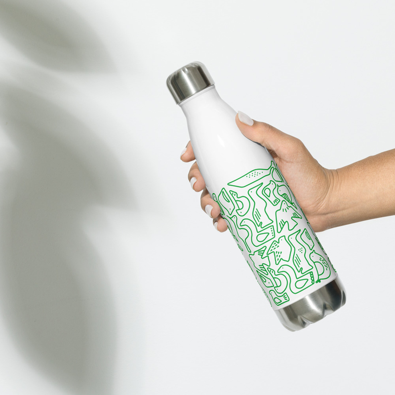 Stainless steel water bottle