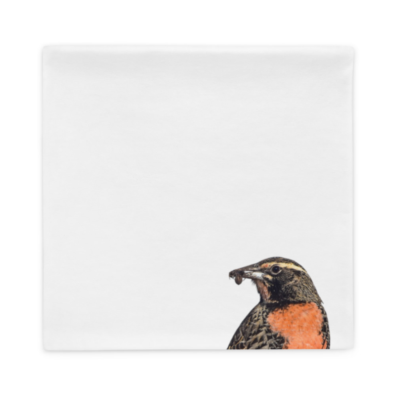 Pillow Case