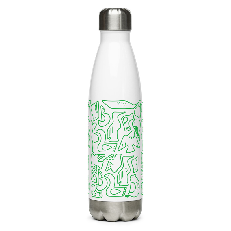 Stainless steel water bottle