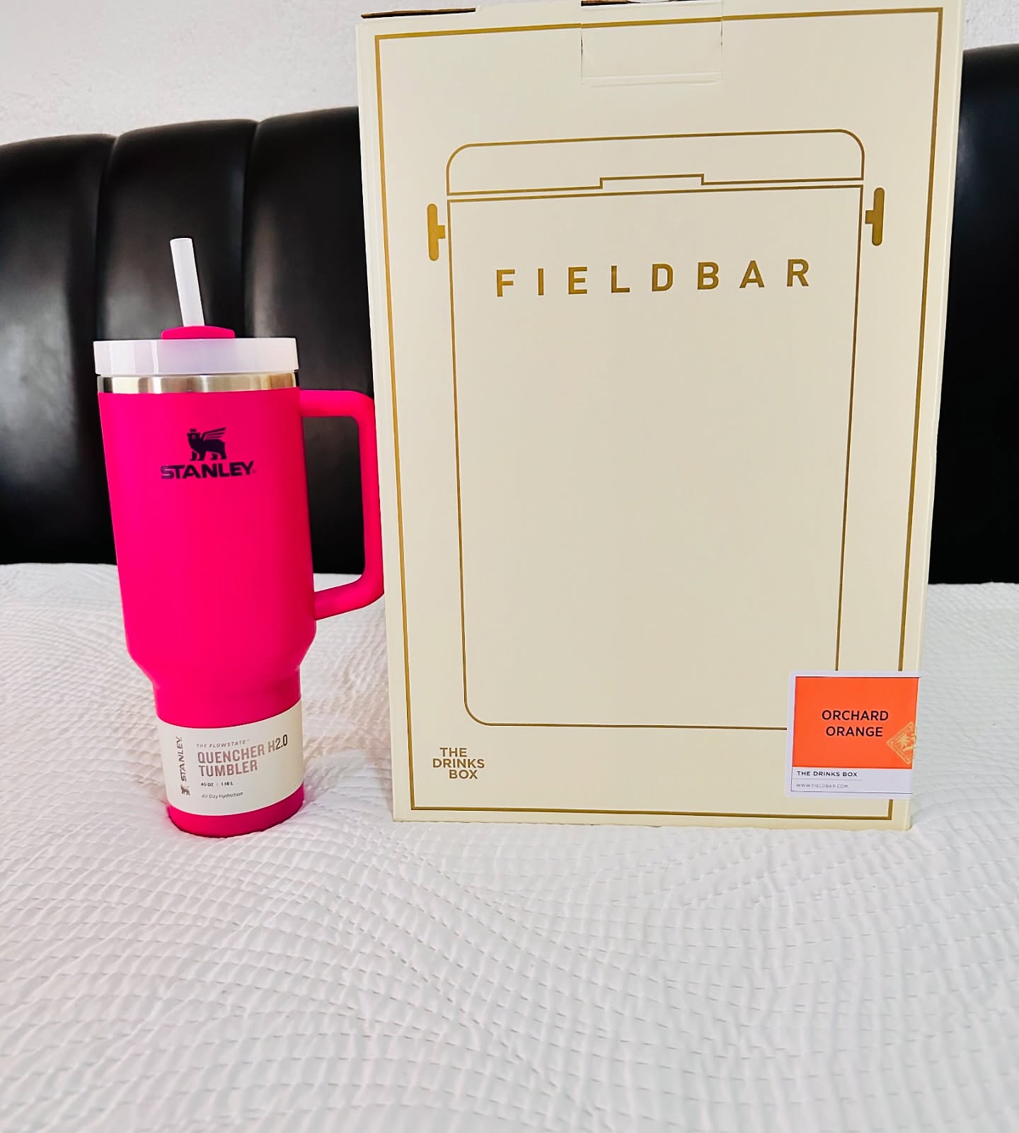 Stanley Quencher H2.0 Tumblers