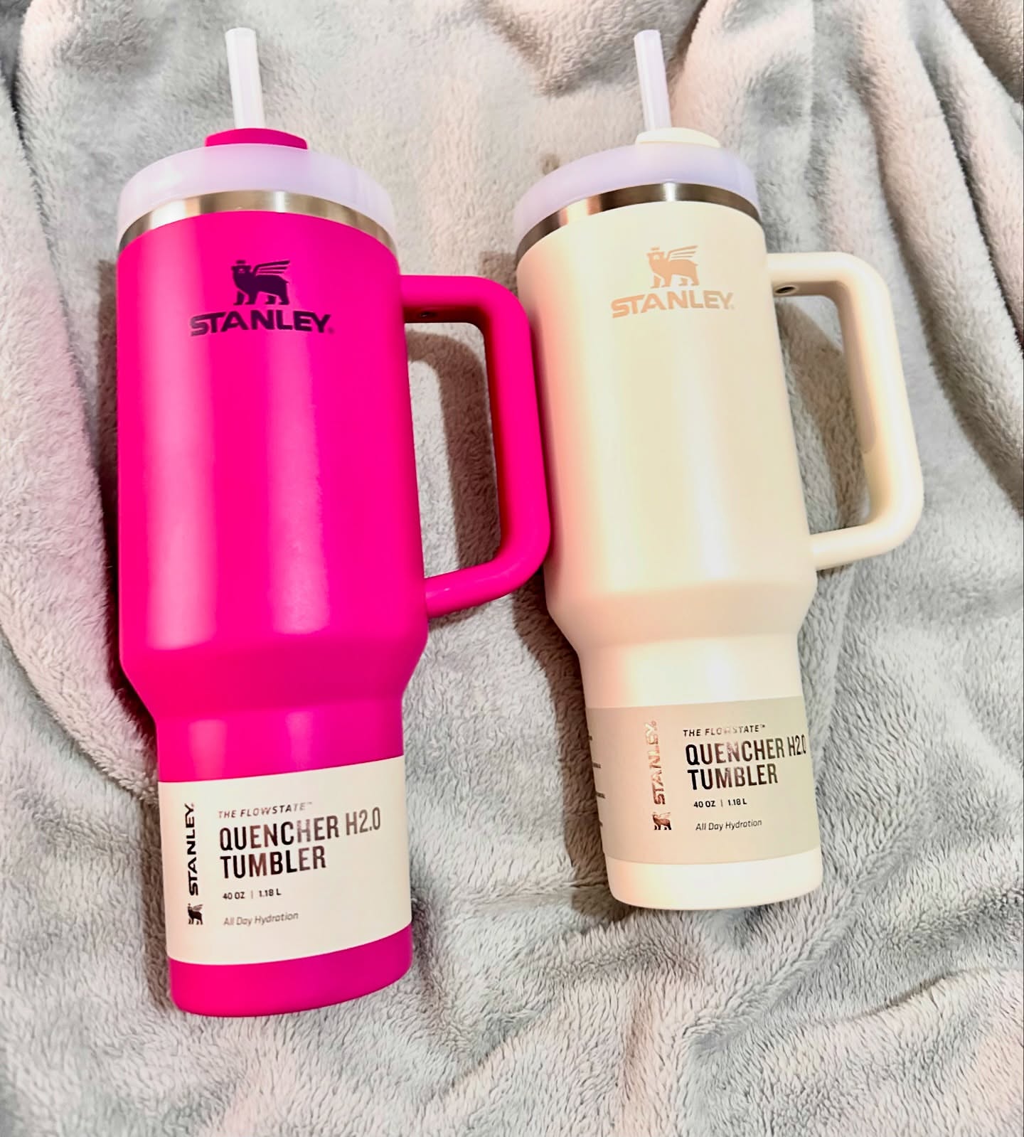 Stanley Quencher H2.0 Tumblers