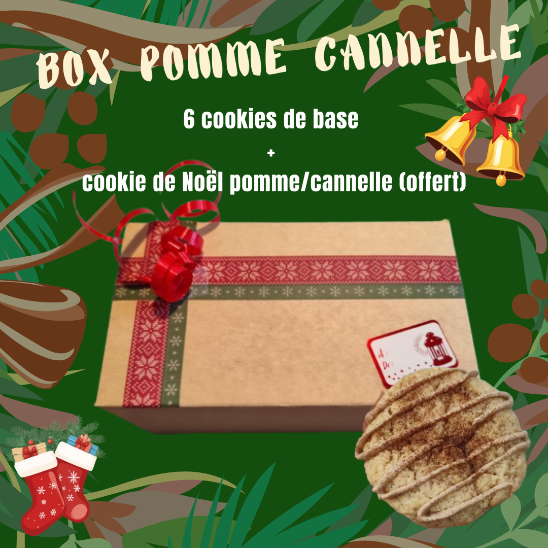 BOX DECOUVERTE NOEL - POMME CANNELLE