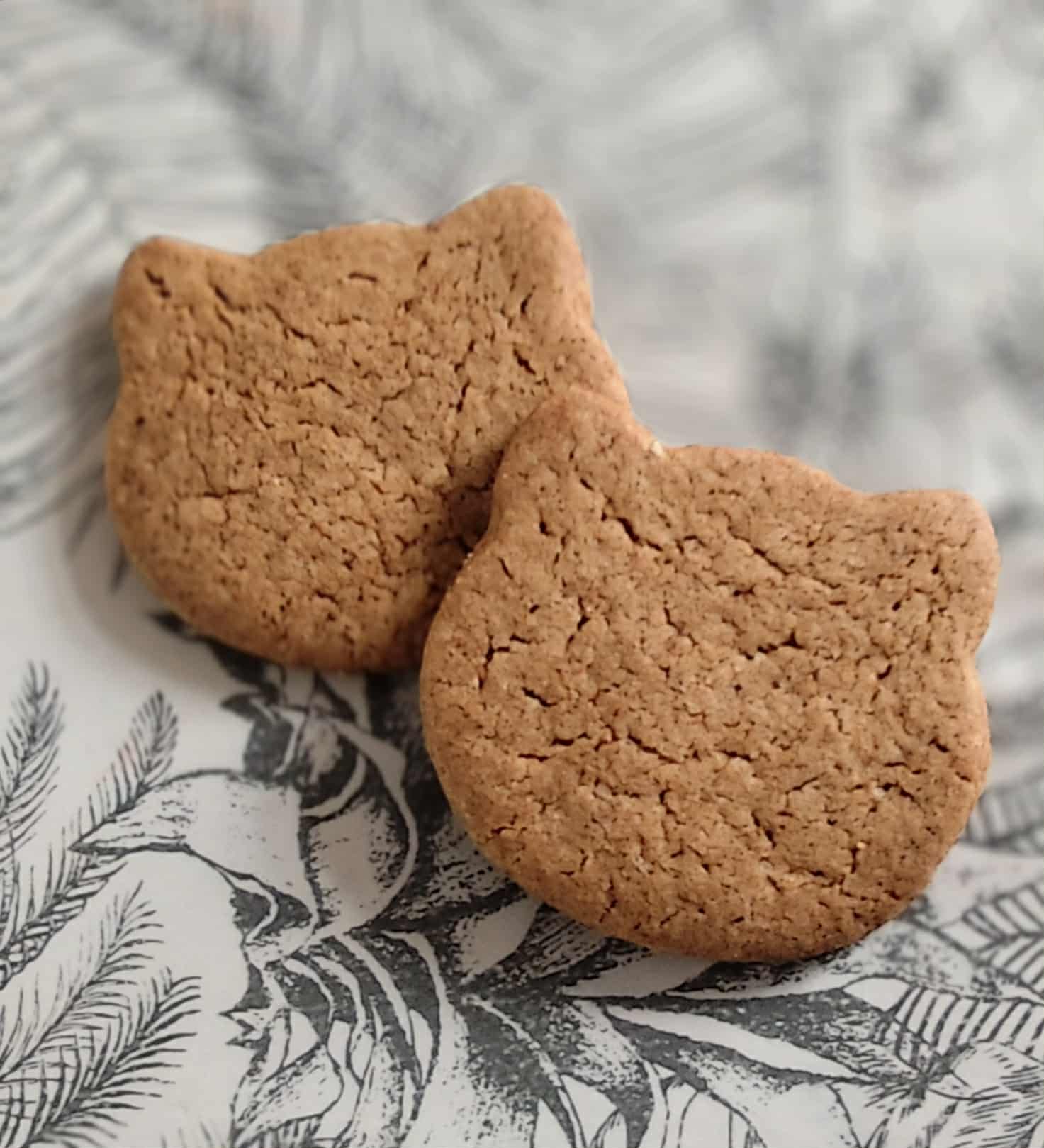 Min'inu speculoos (lot de 10)