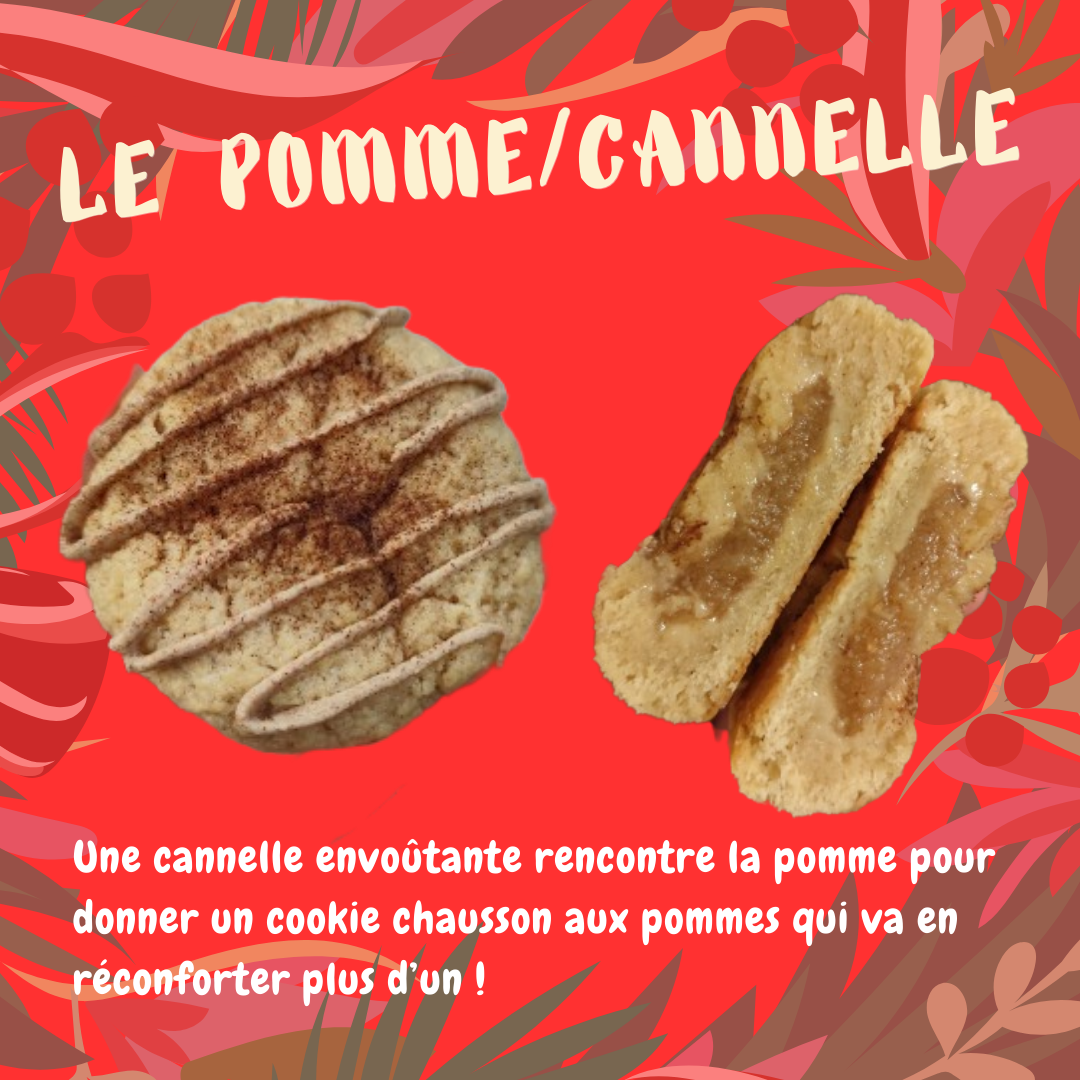 BOX DECOUVERTE NOEL - POMME CANNELLE