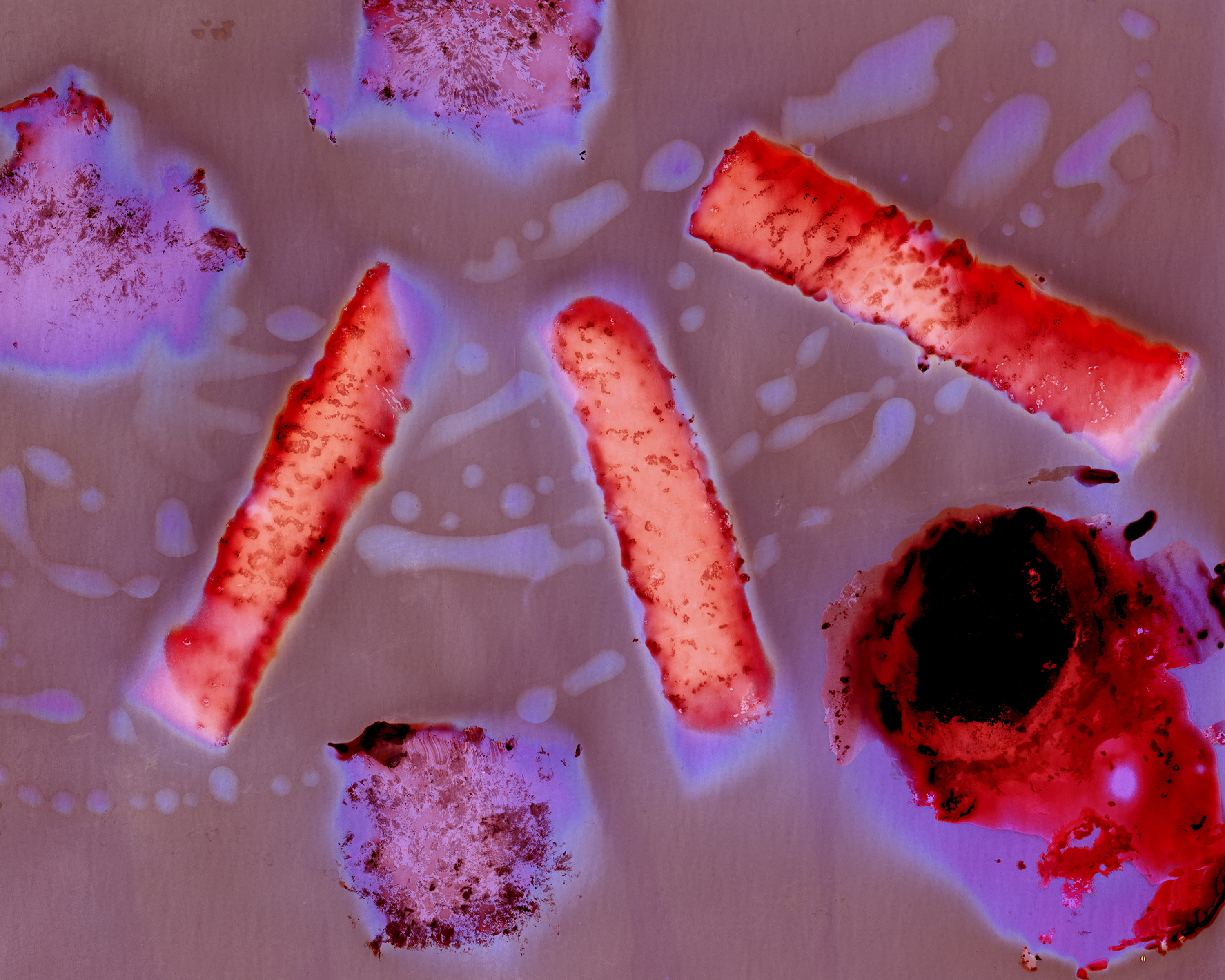 French Toast Sausage and Egg