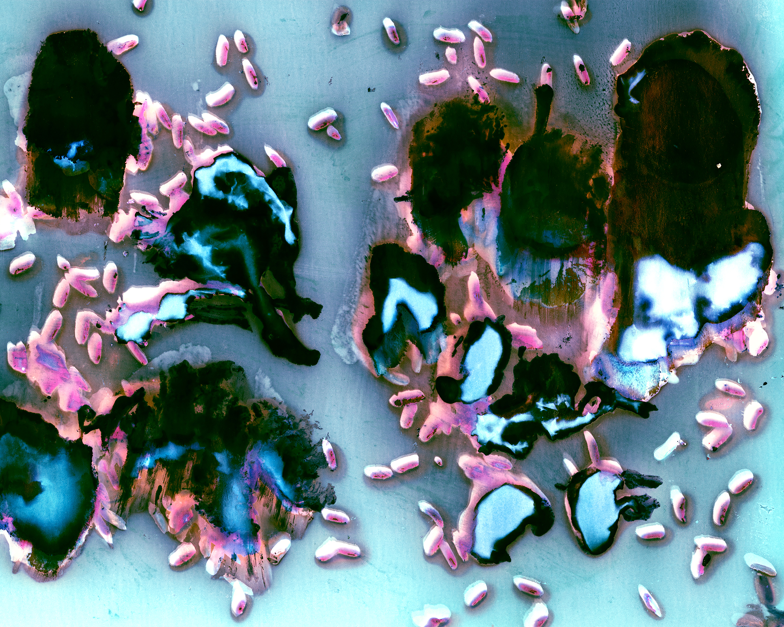 What's in the Fridge Stirfry