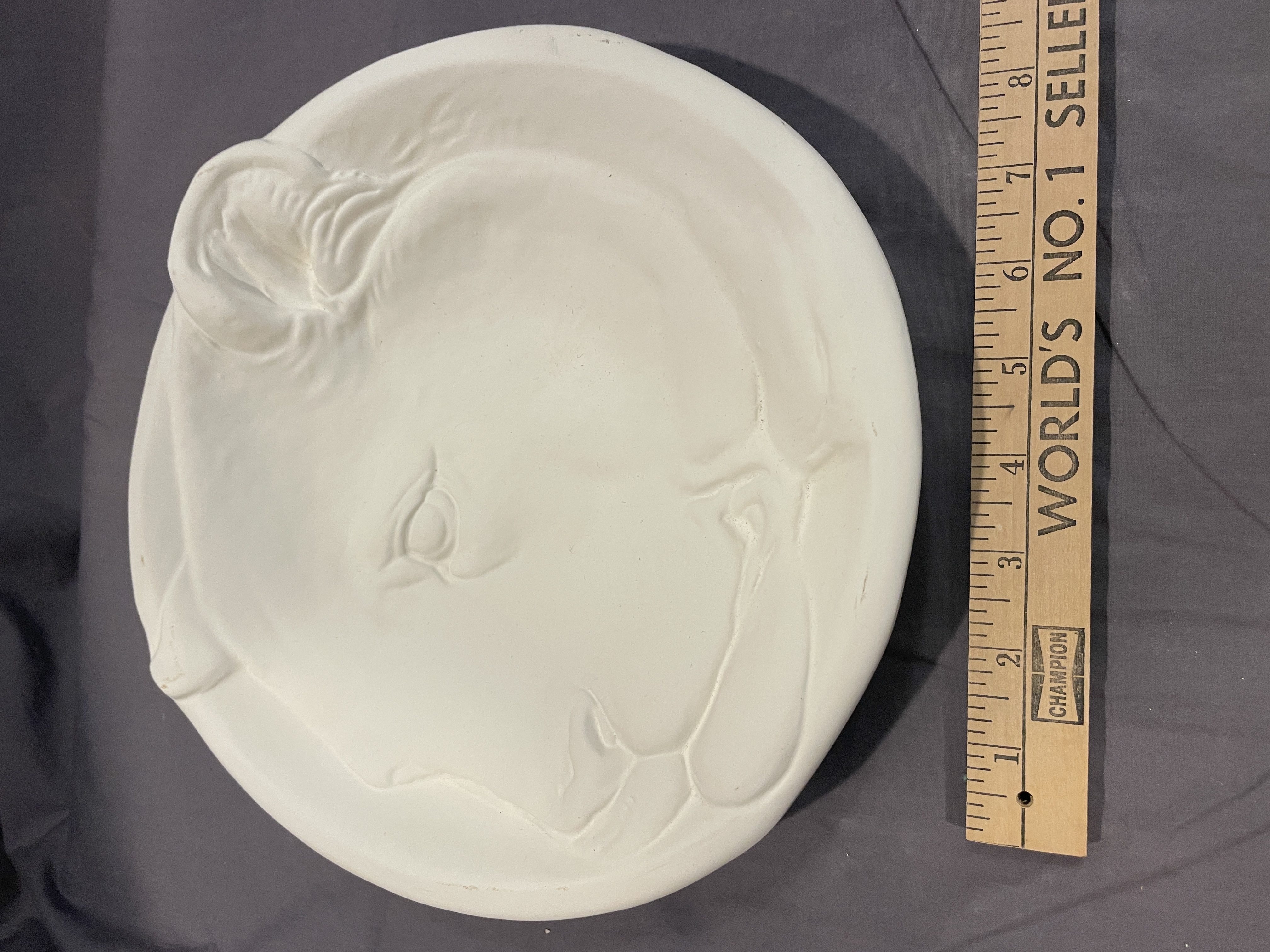Lioness/Tiger Plate