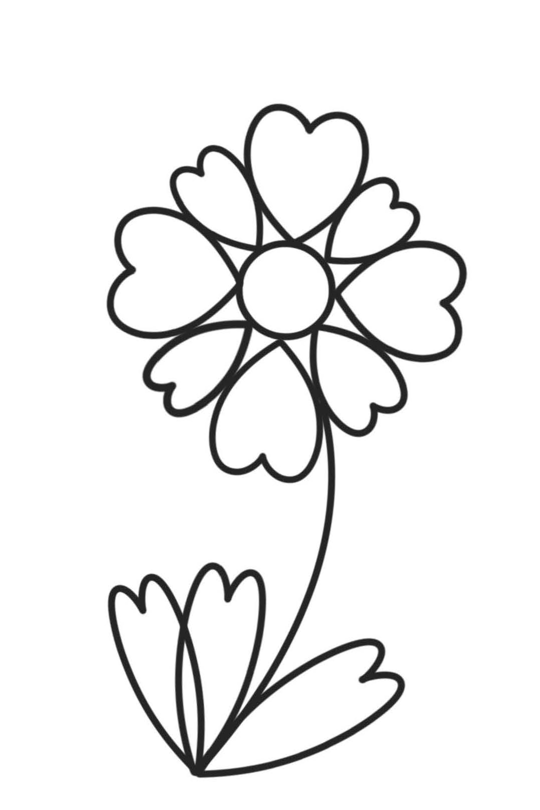 FREE 30 page PDF file to print