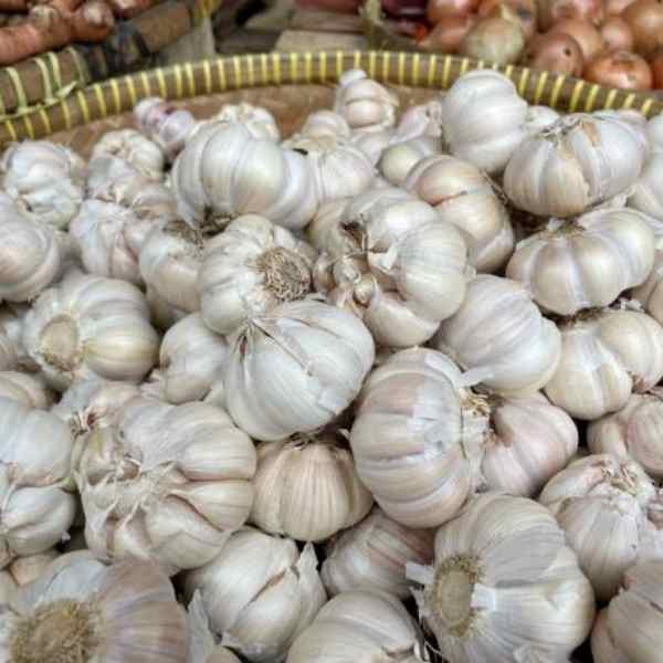 Bawang Putih
