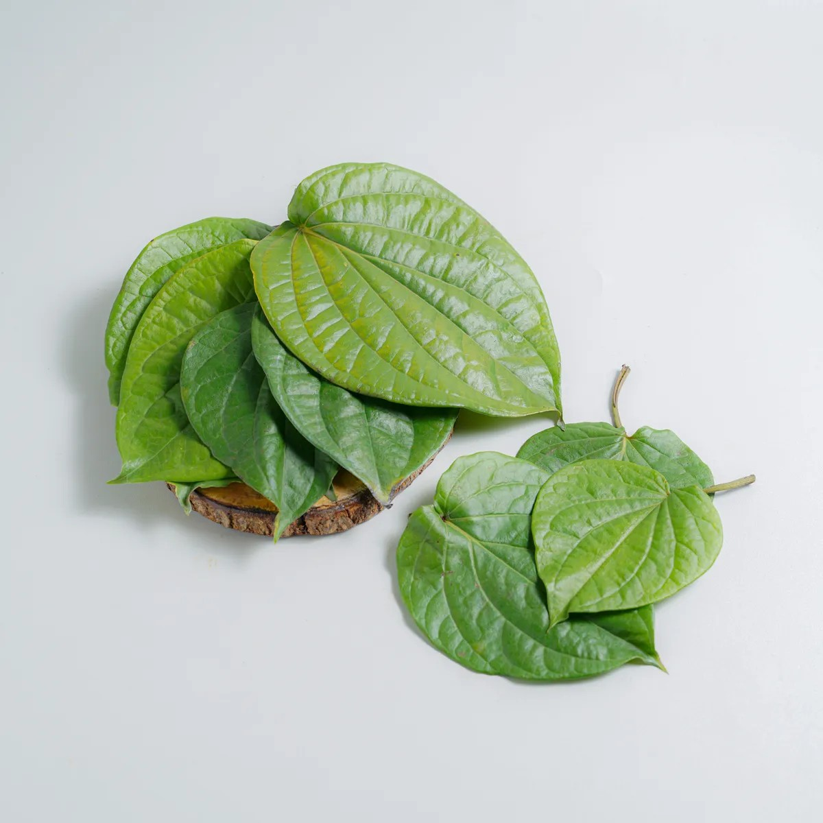 Daun Sirih