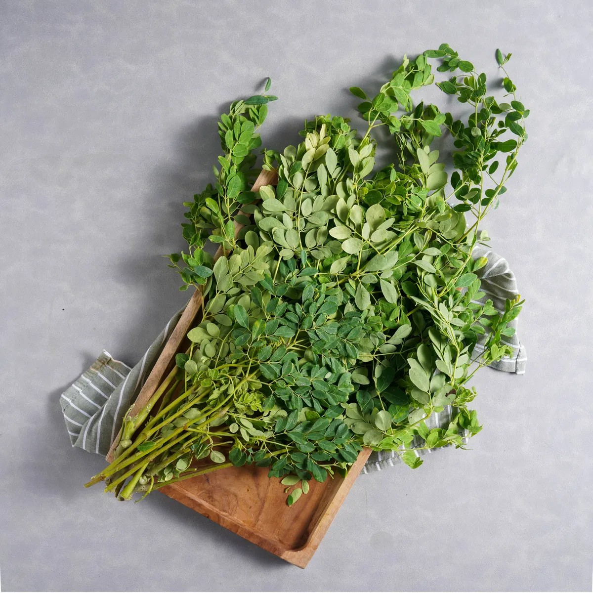 Daun Kelor